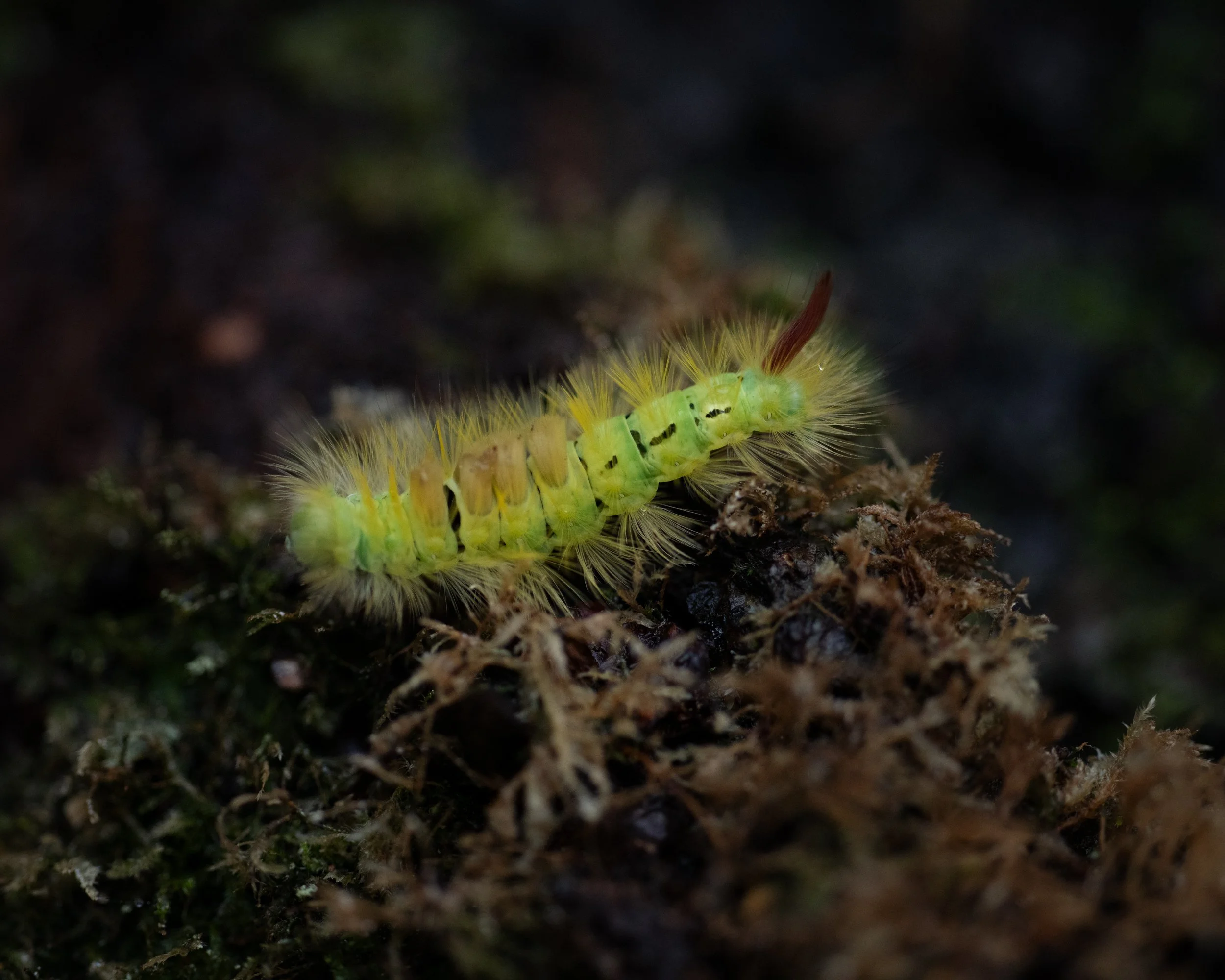 DSC_6303.jpg