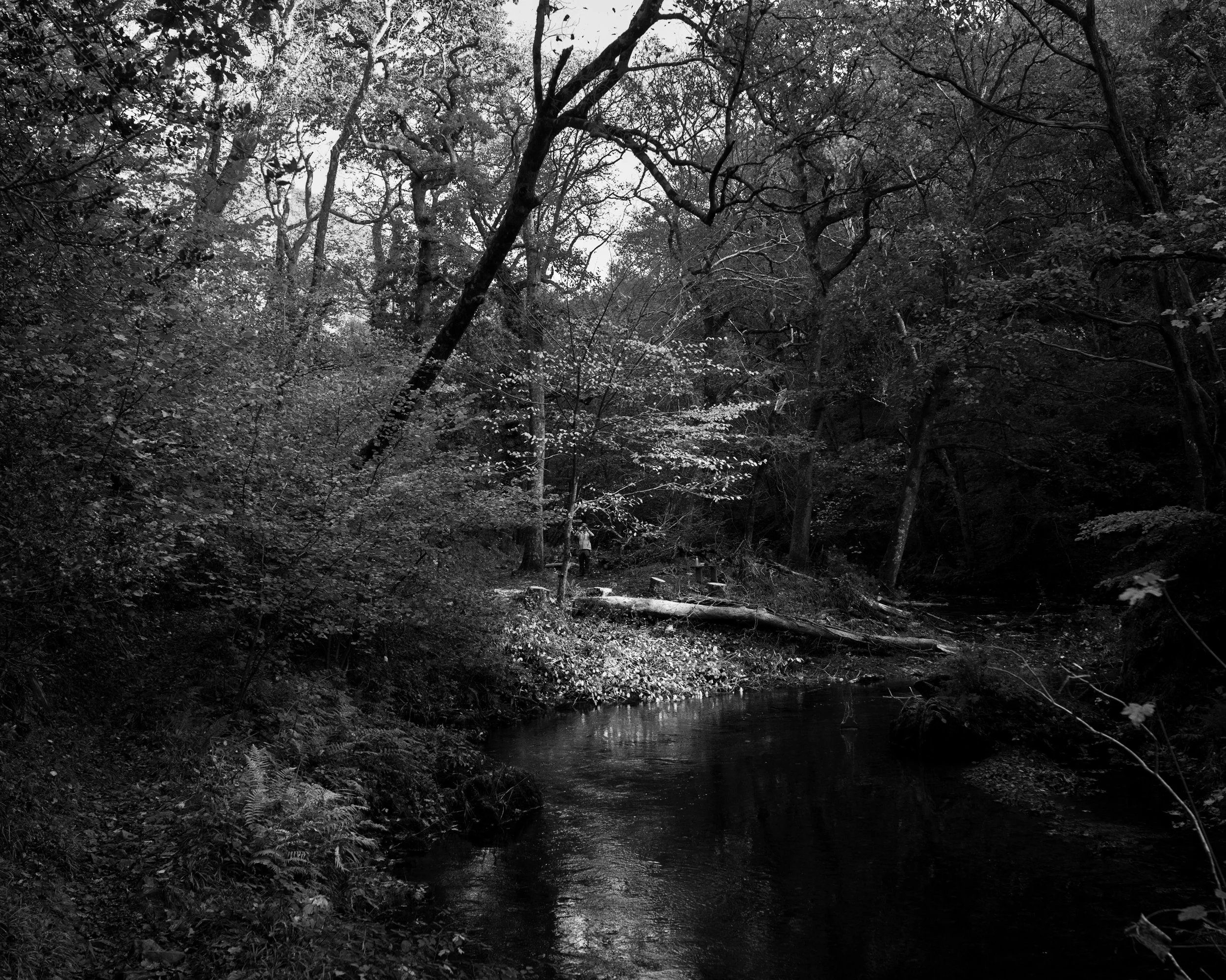 DSC_6830.jpg