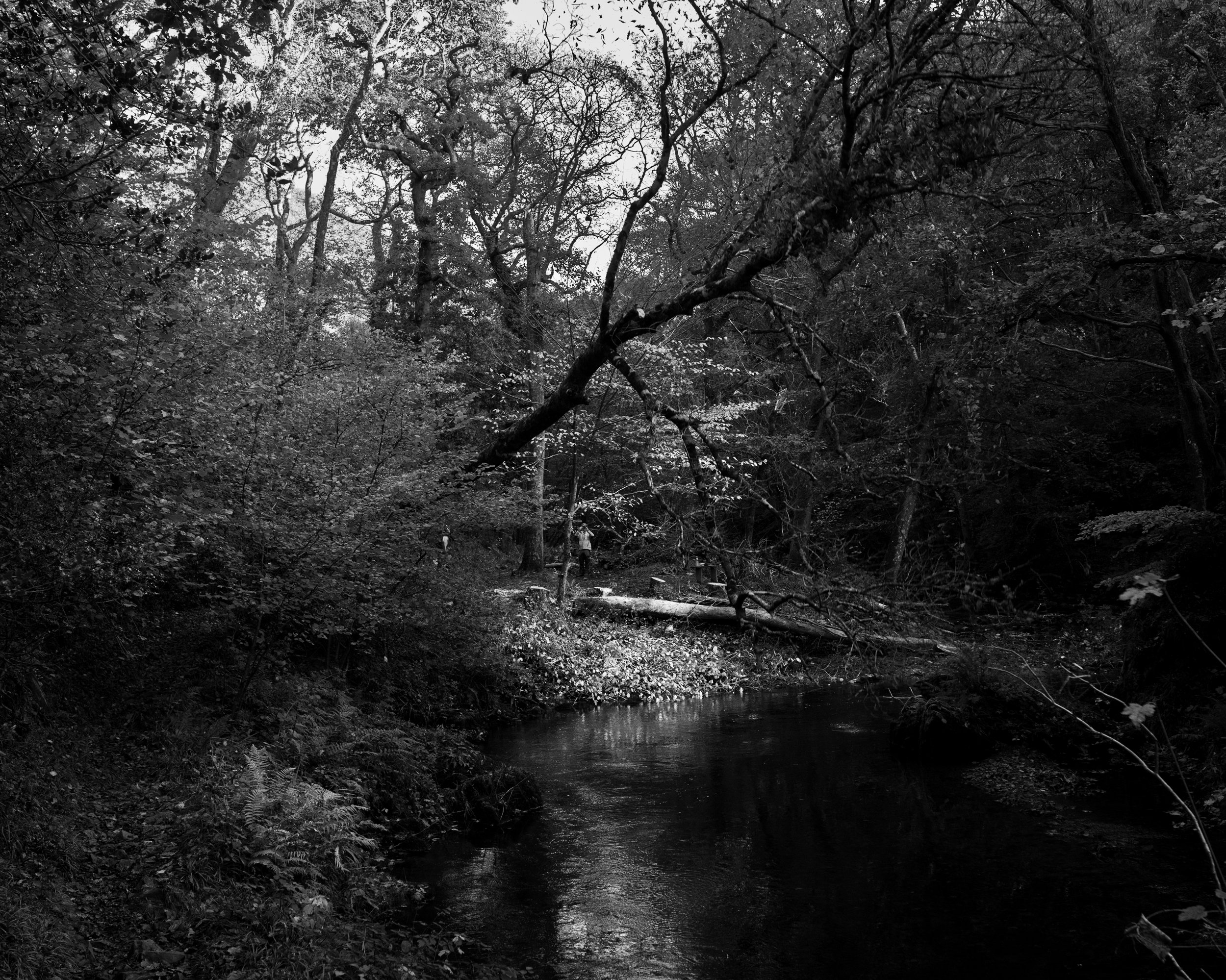 DSC_6832.jpg