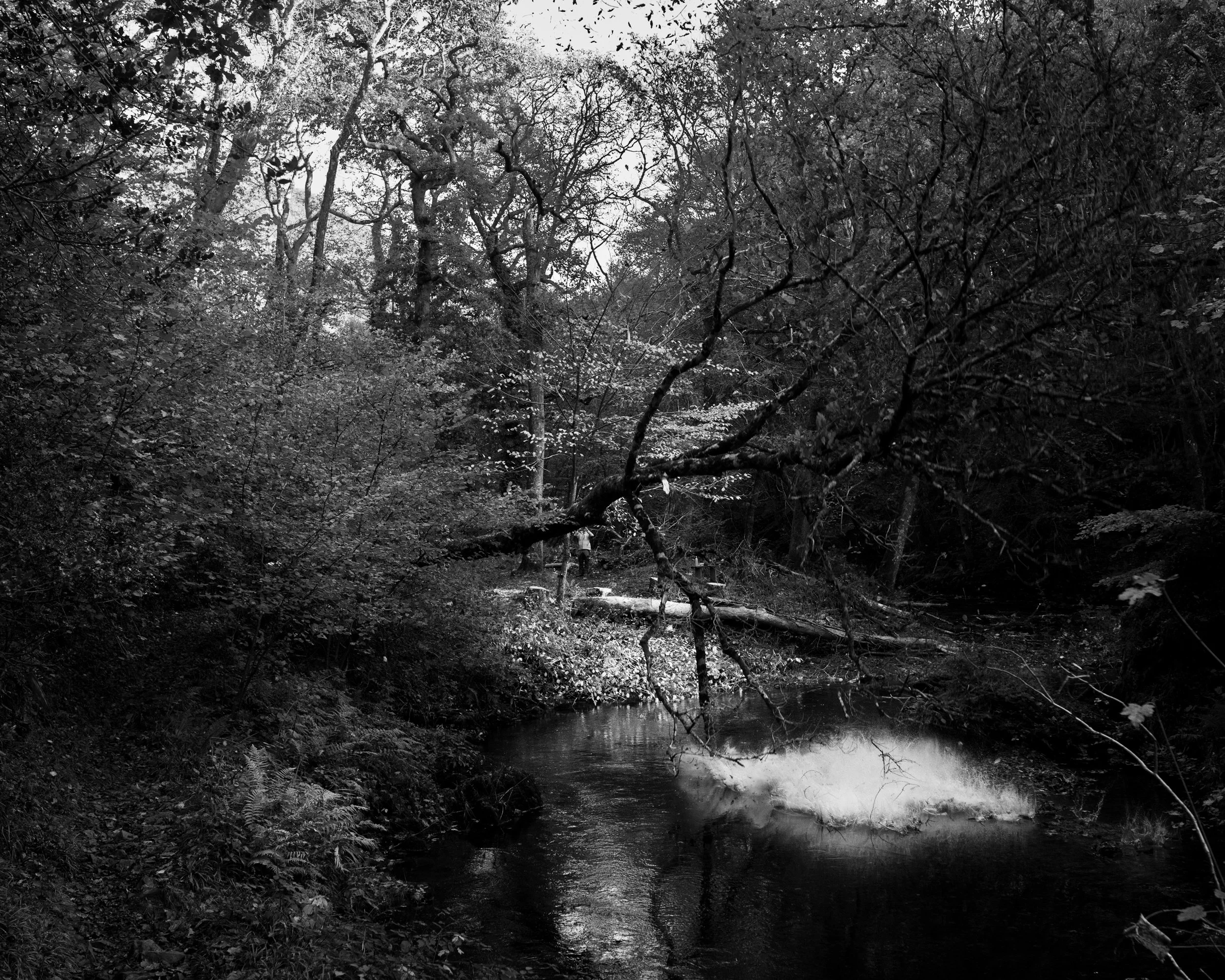 DSC_6833.jpg