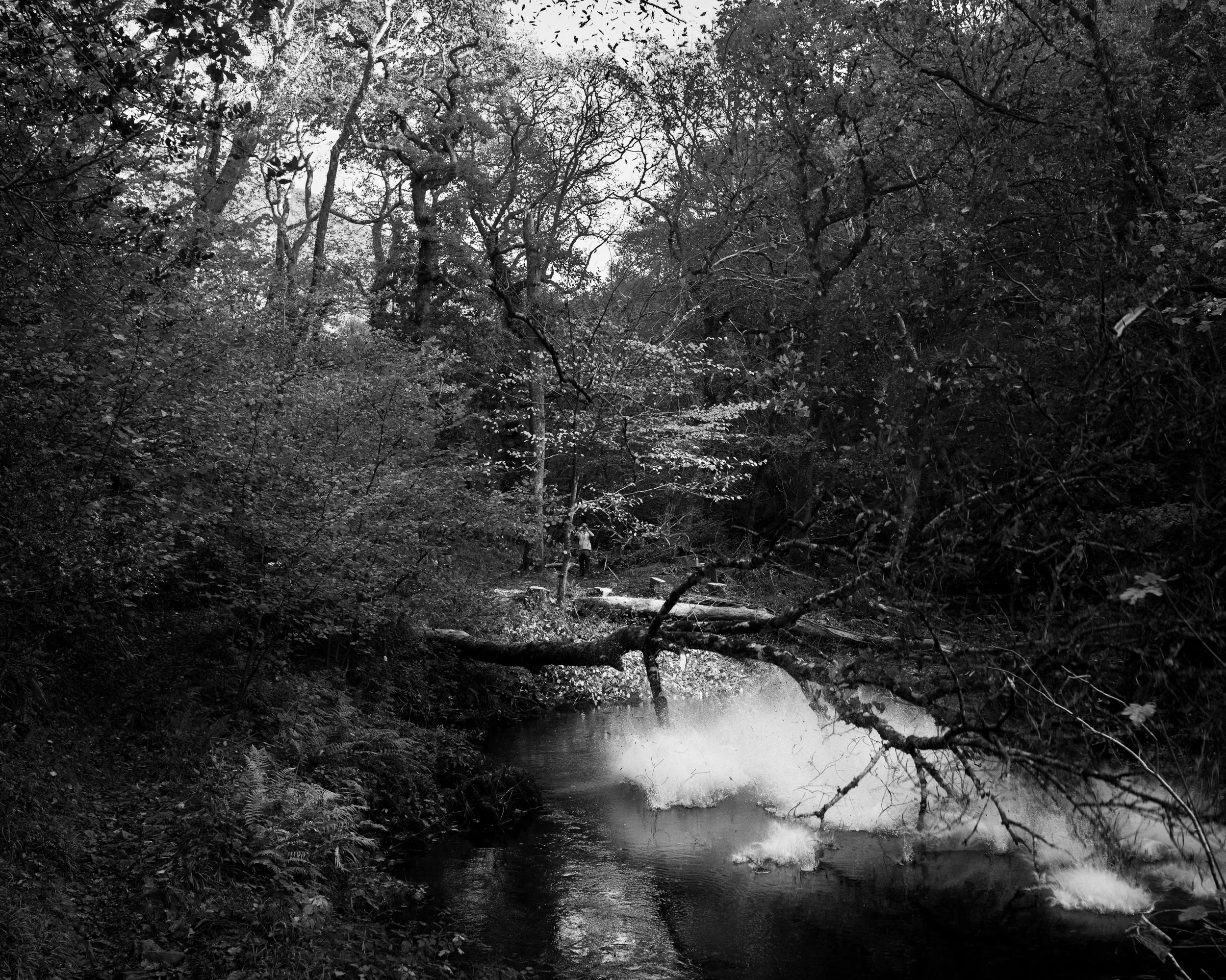 DSC_6834.jpg