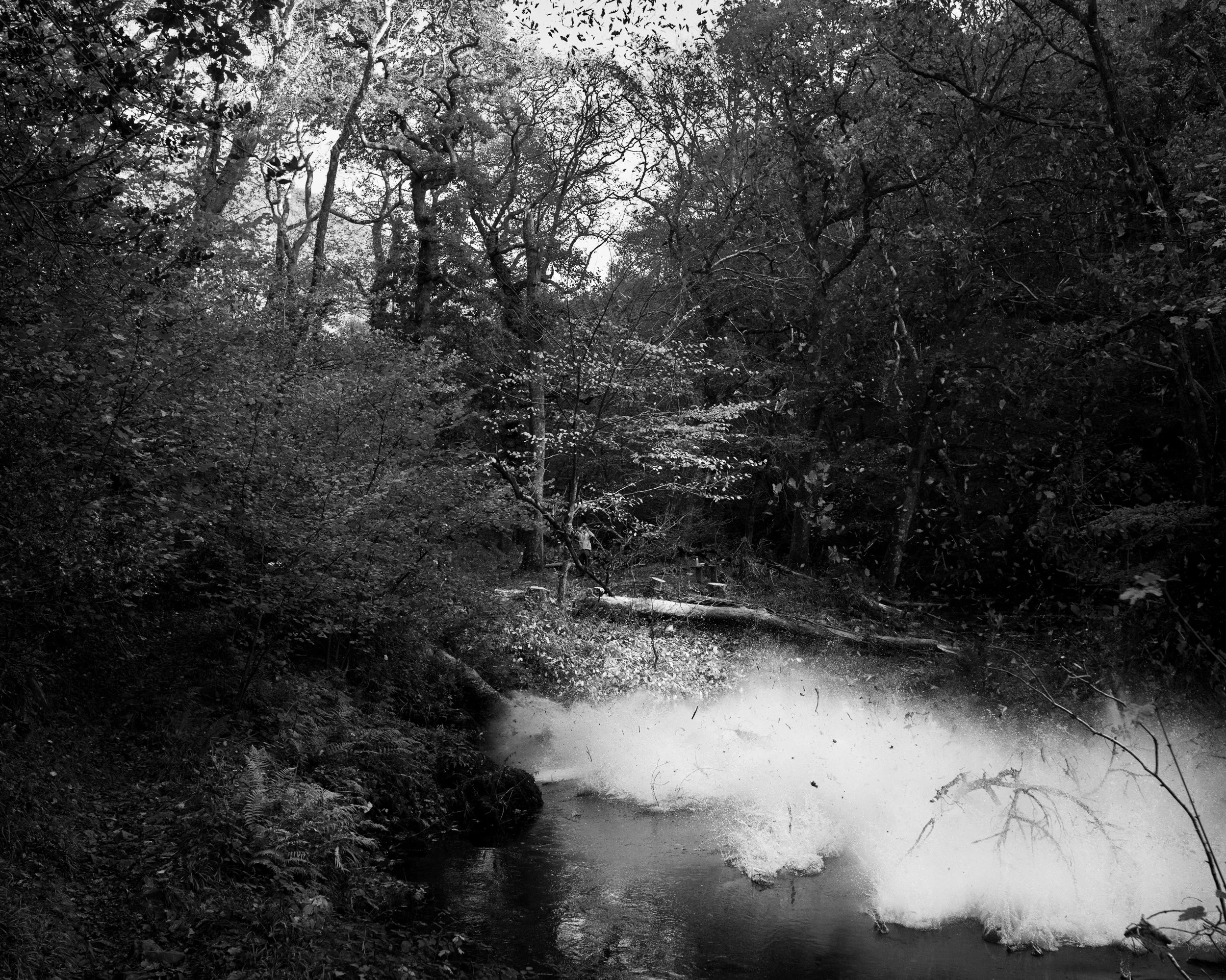 DSC_6835.jpg