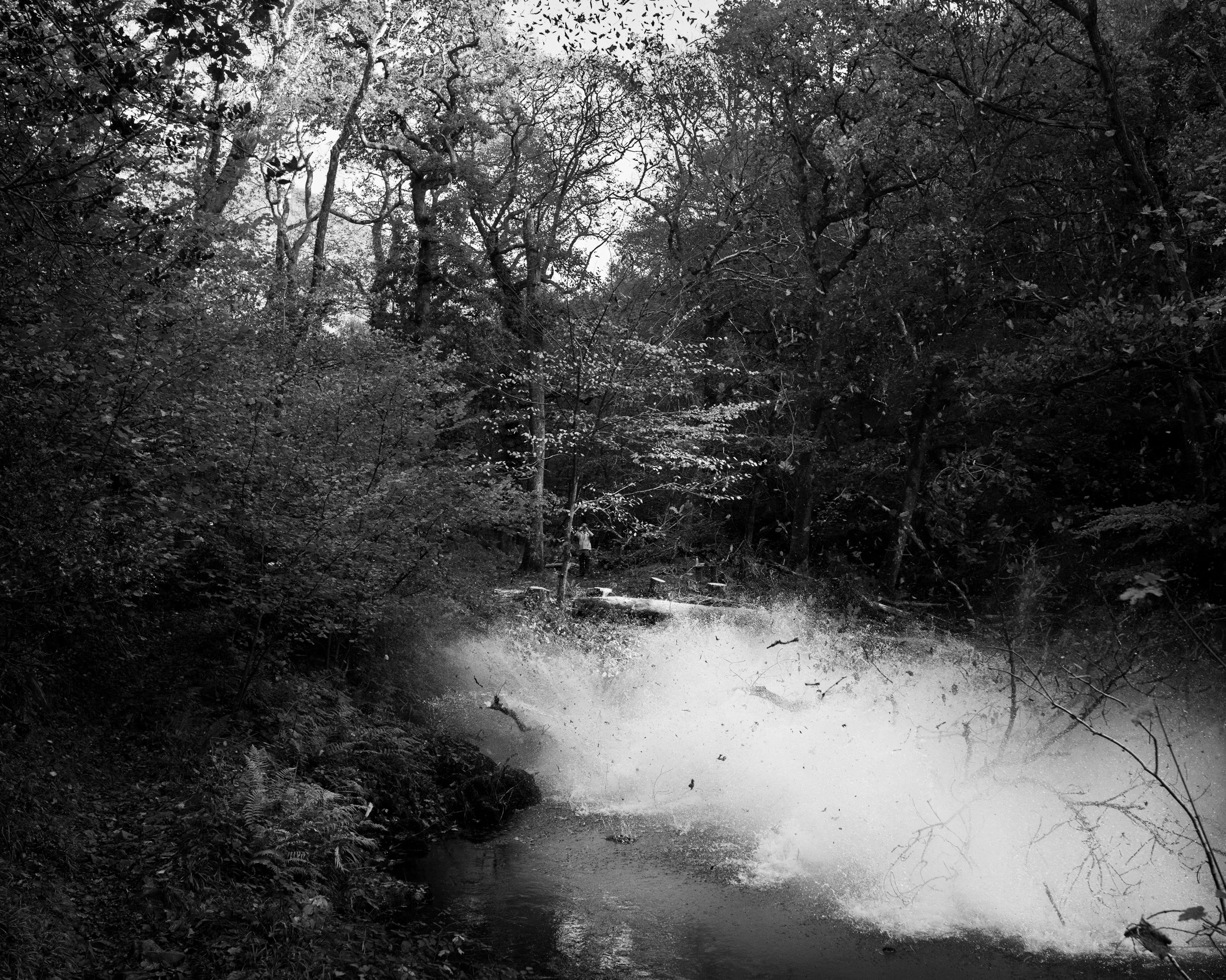 DSC_6836.jpg