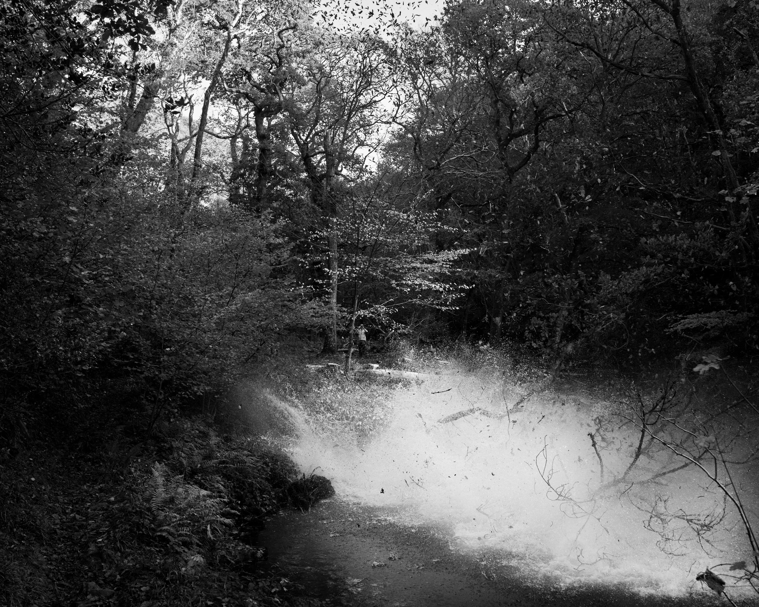 DSC_6837.jpg