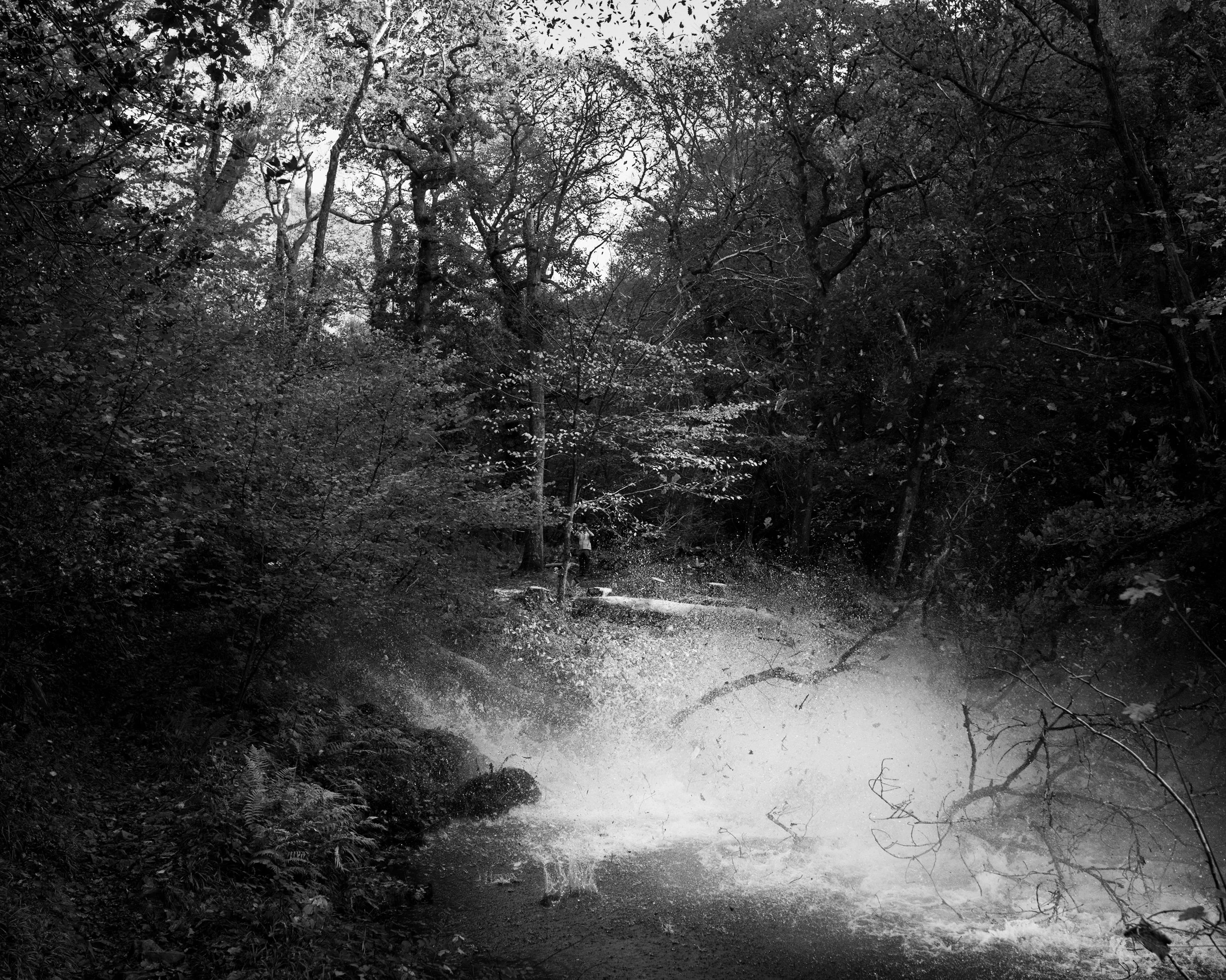 DSC_6838.jpg