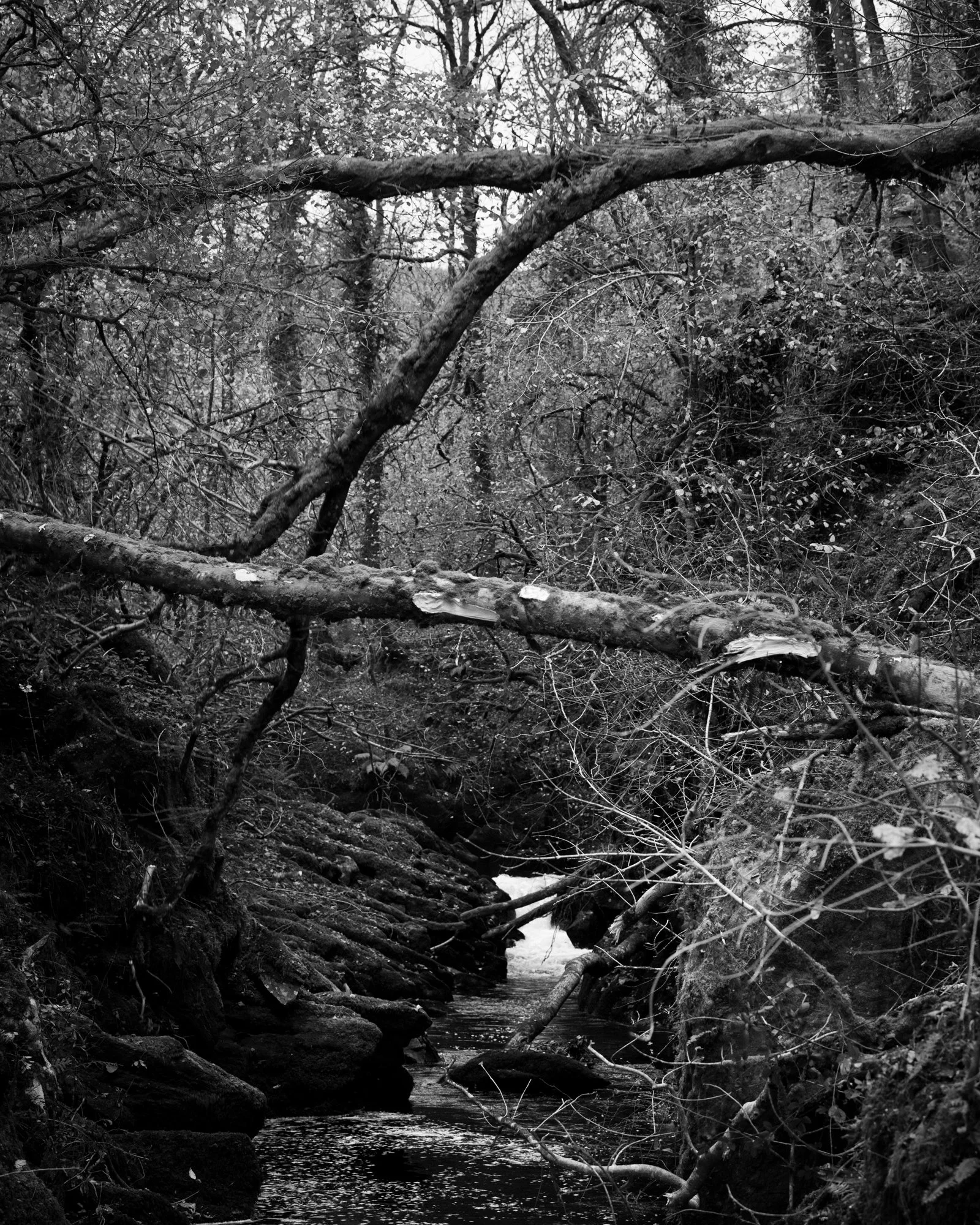DSC_6864.jpg