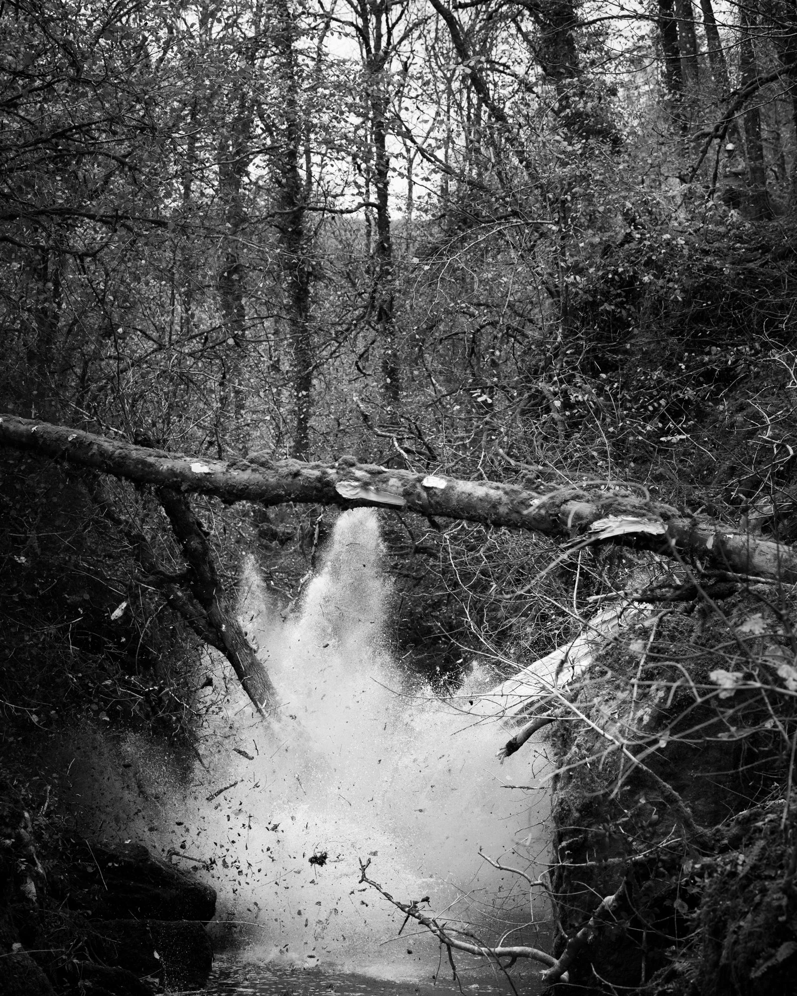 DSC_6866.jpg