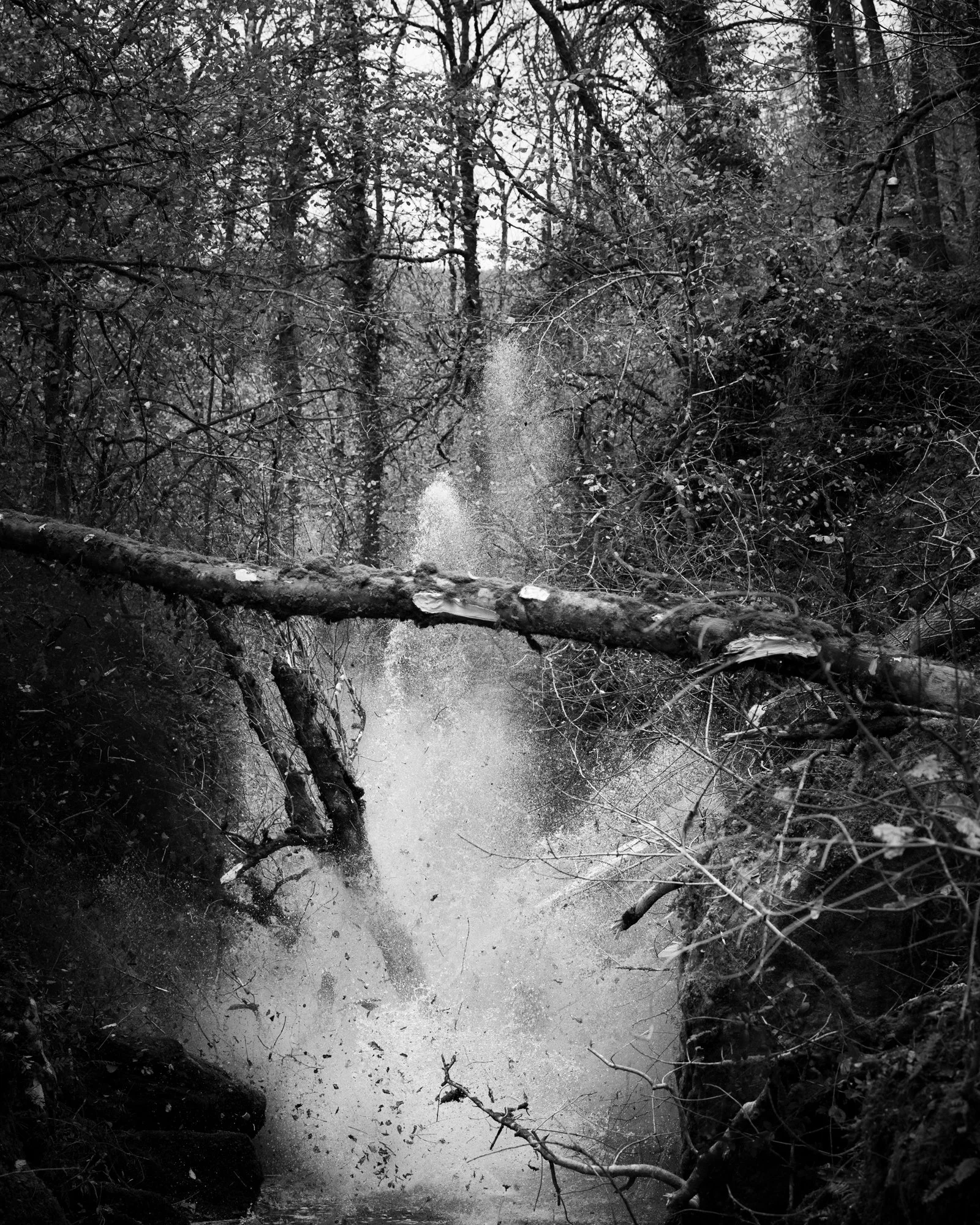 DSC_6867.jpg