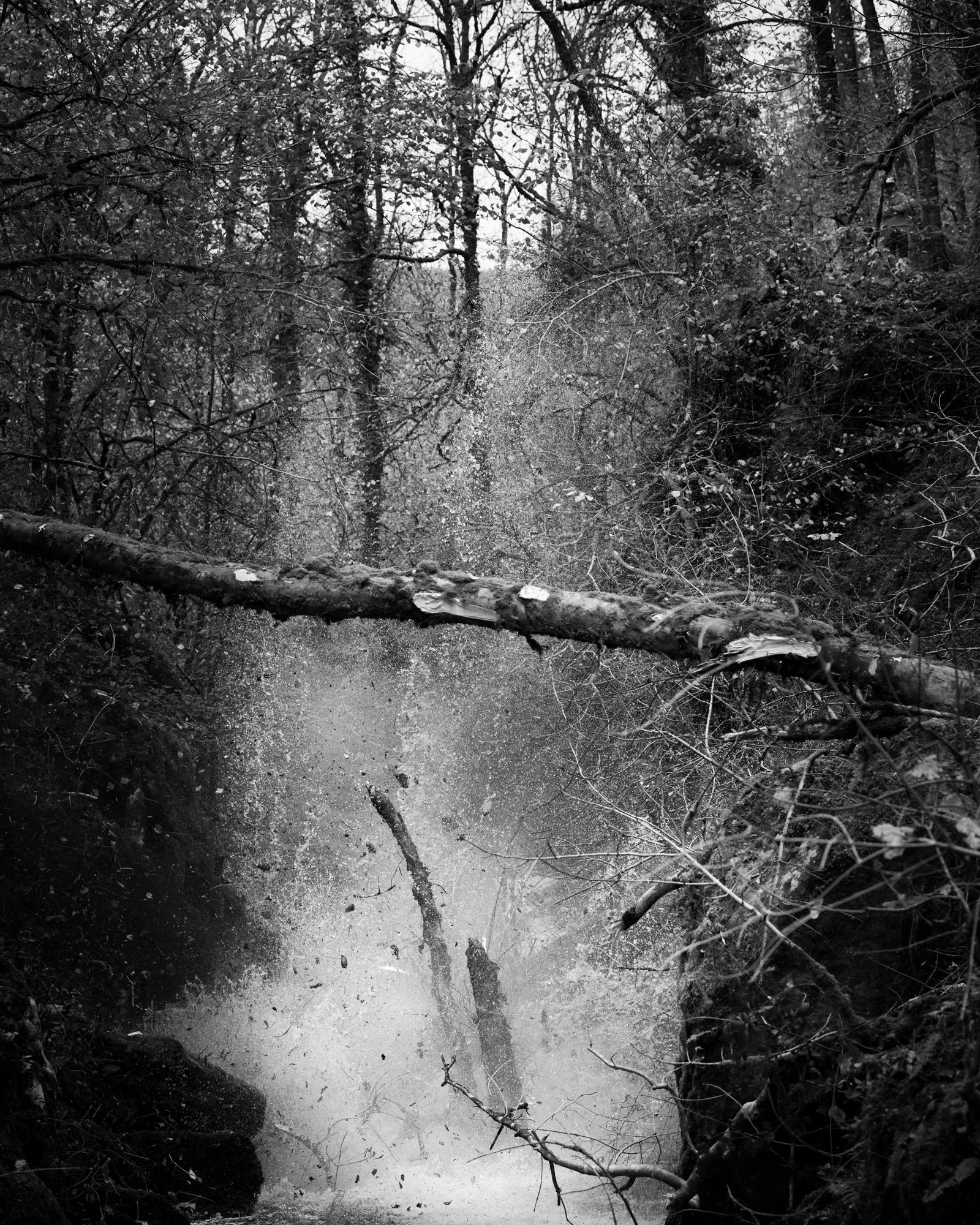 DSC_6868.jpg