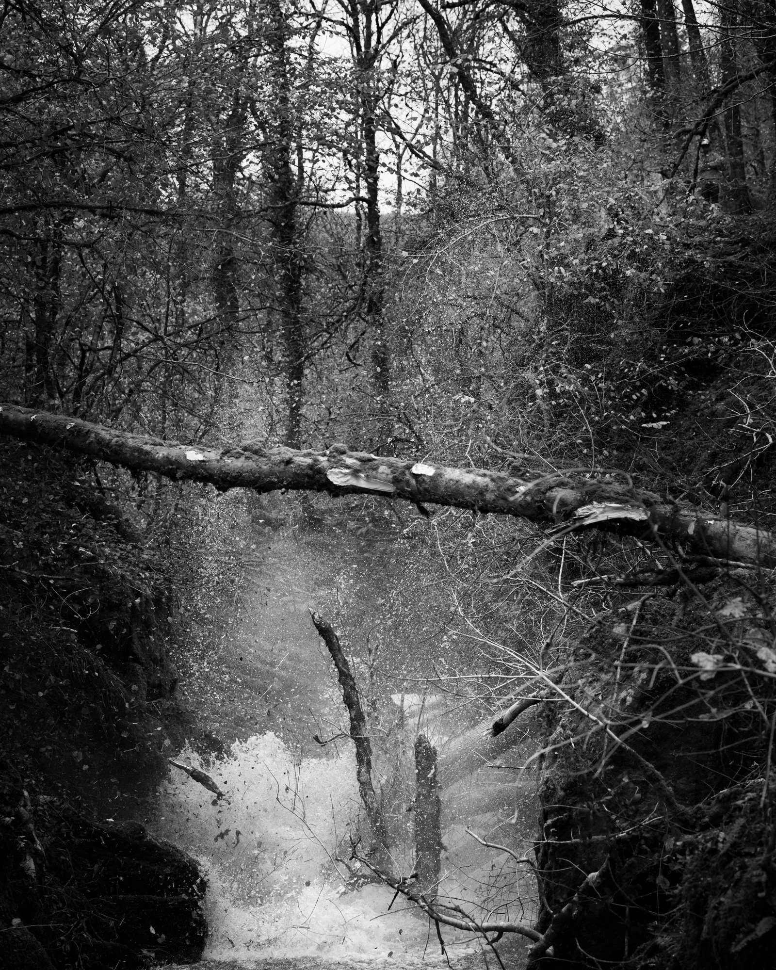 DSC_6869.jpg
