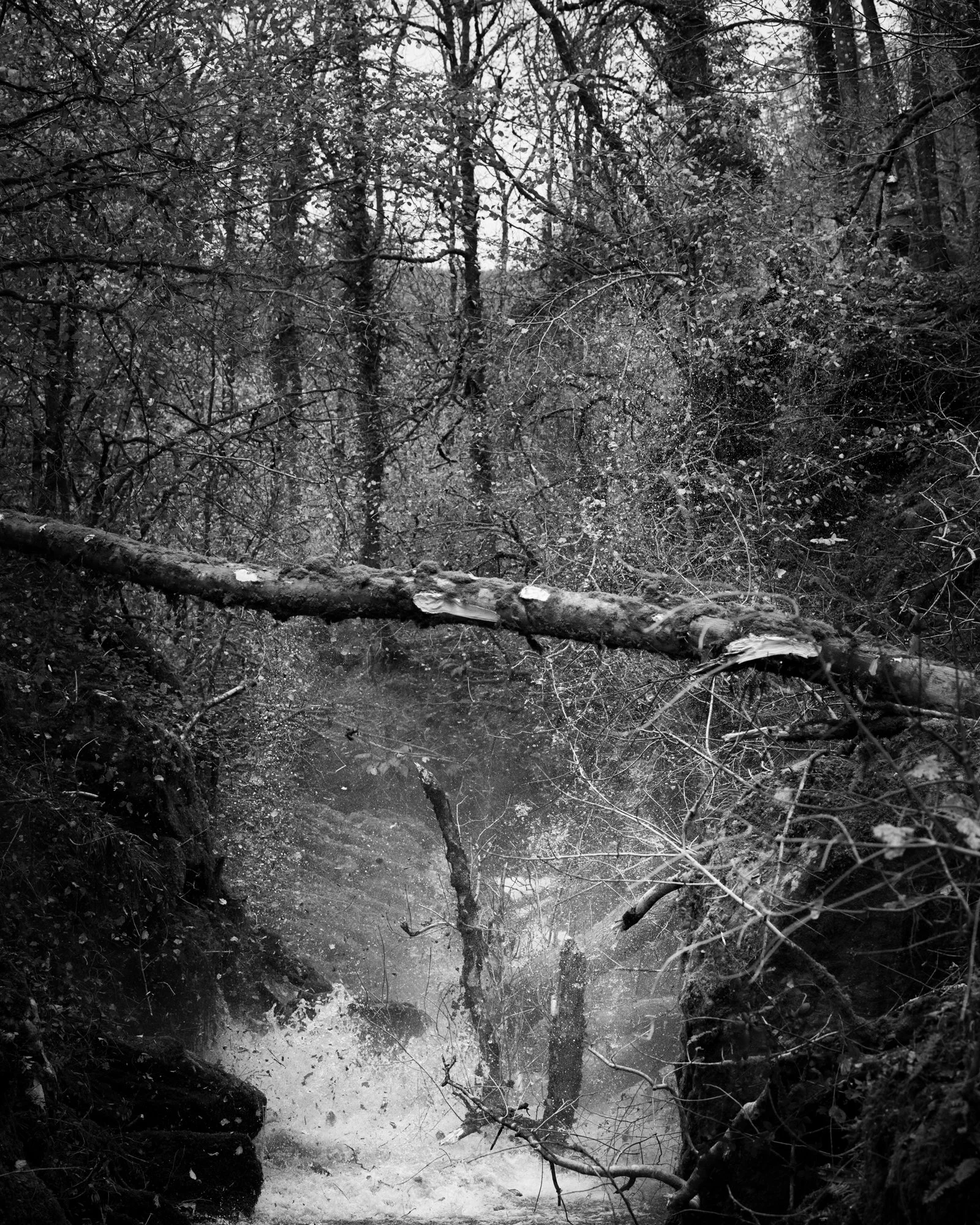 DSC_6870.jpg