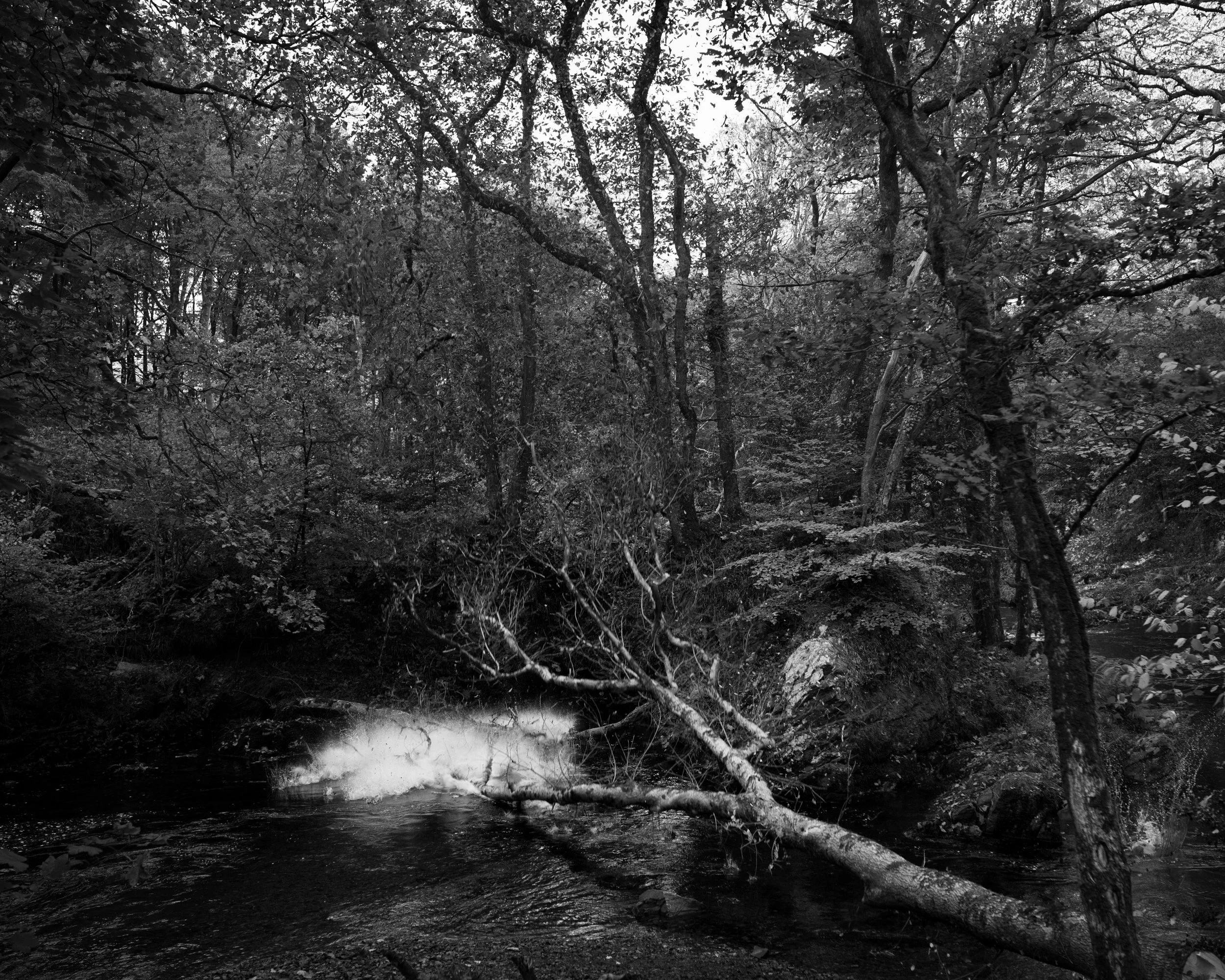 DSC_7066.jpg