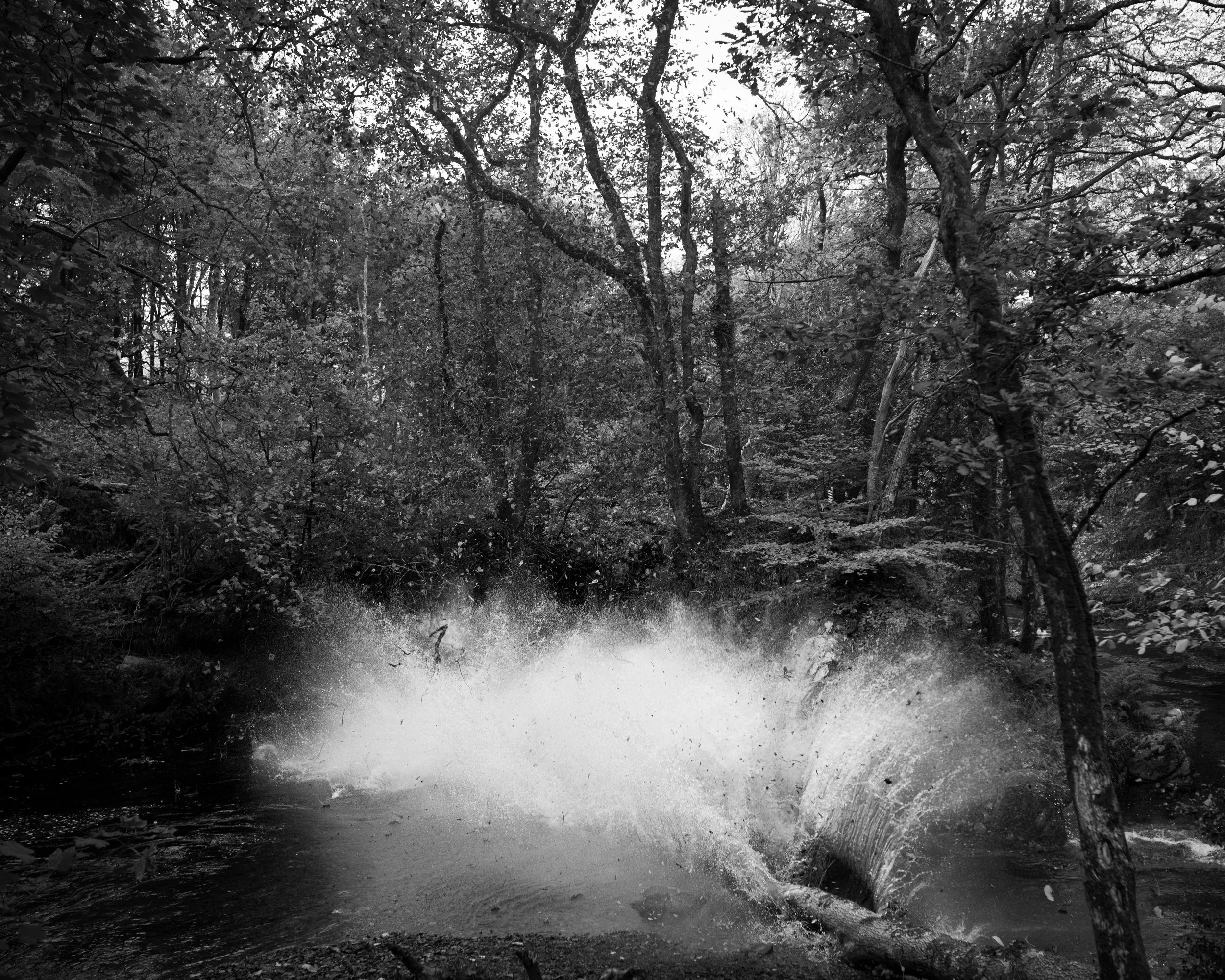 DSC_7068.jpg