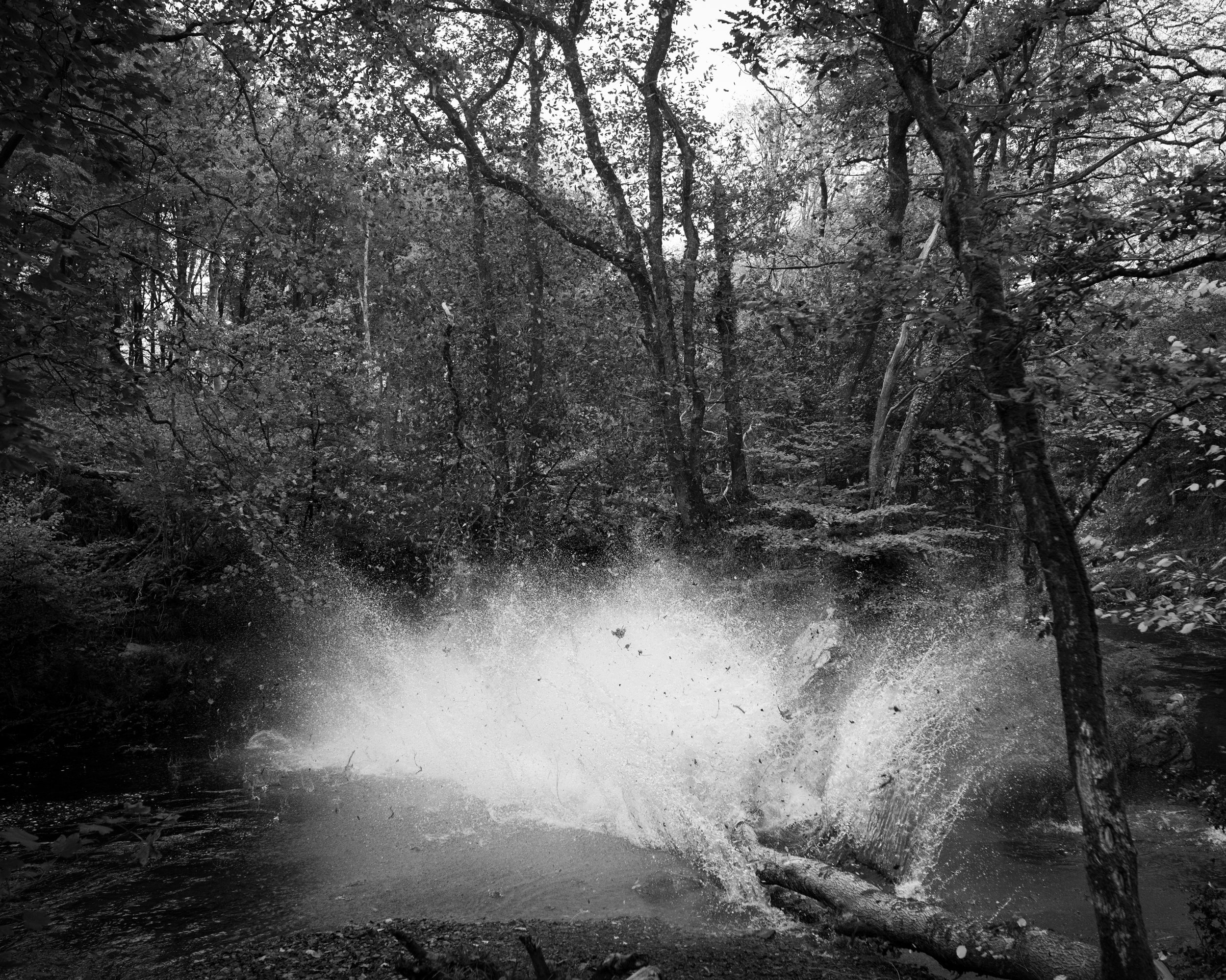 DSC_7069.jpg