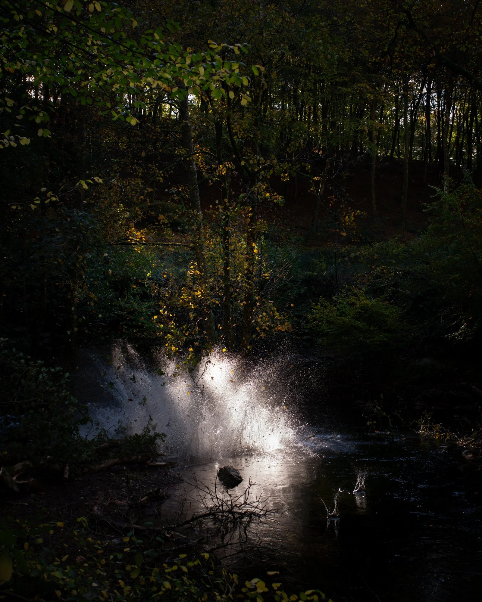 DSC_7321-Enhanced-NR.jpg