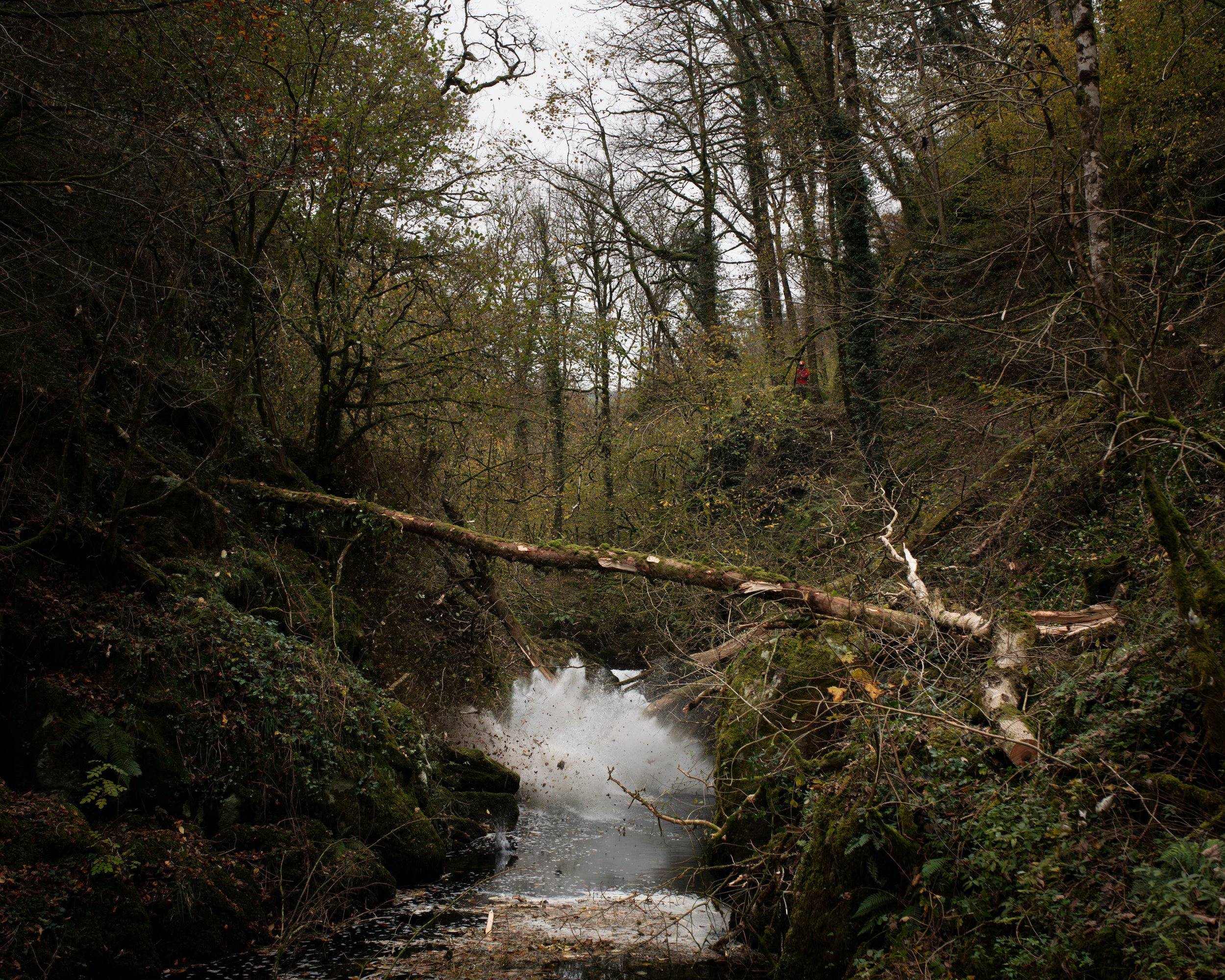 DSC_7988-Enhanced-NR.jpg