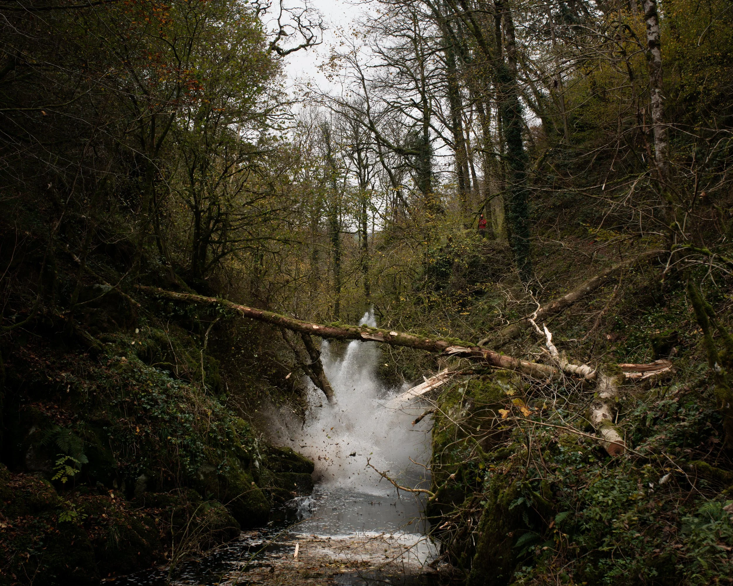 DSC_7989-Enhanced-NR.jpg