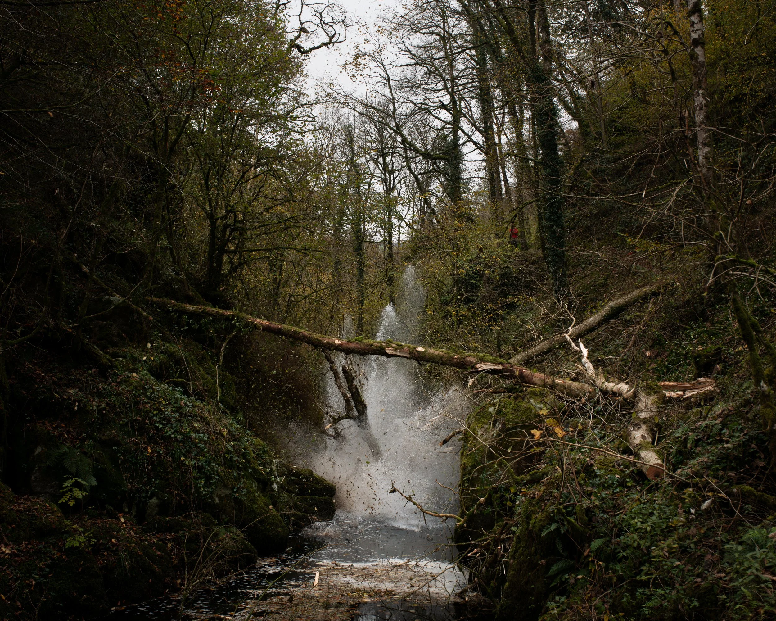 DSC_7990-Enhanced-NR.jpg