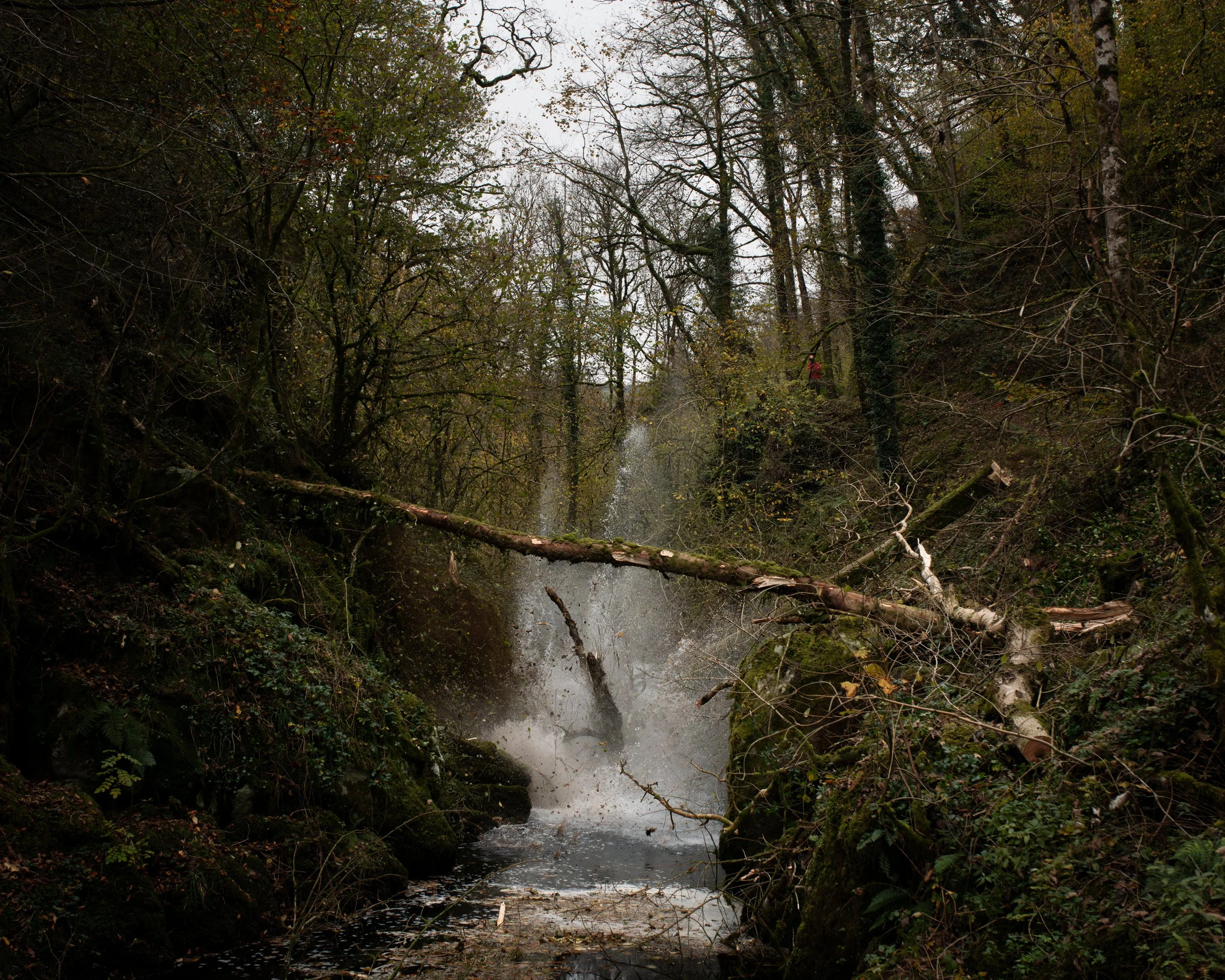 DSC_7991-Enhanced-NR.jpg