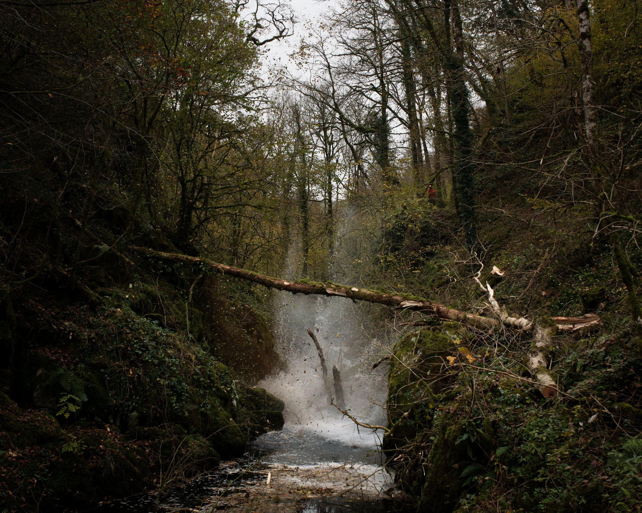 DSC_7992-Enhanced-NR.jpg