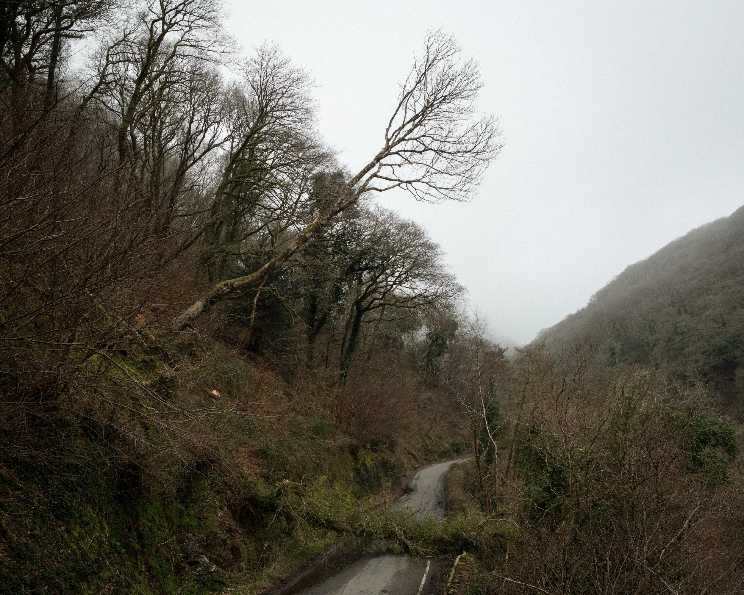 Watersmeet_31.jpg