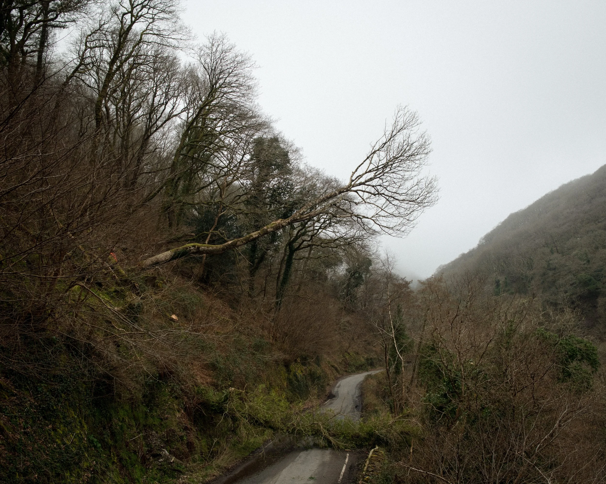 Watersmeet_32.jpg