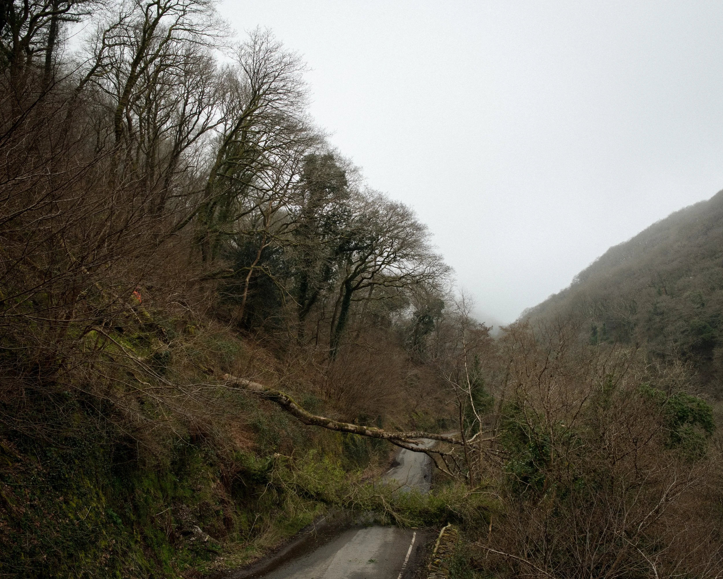 Watersmeet_33.jpg