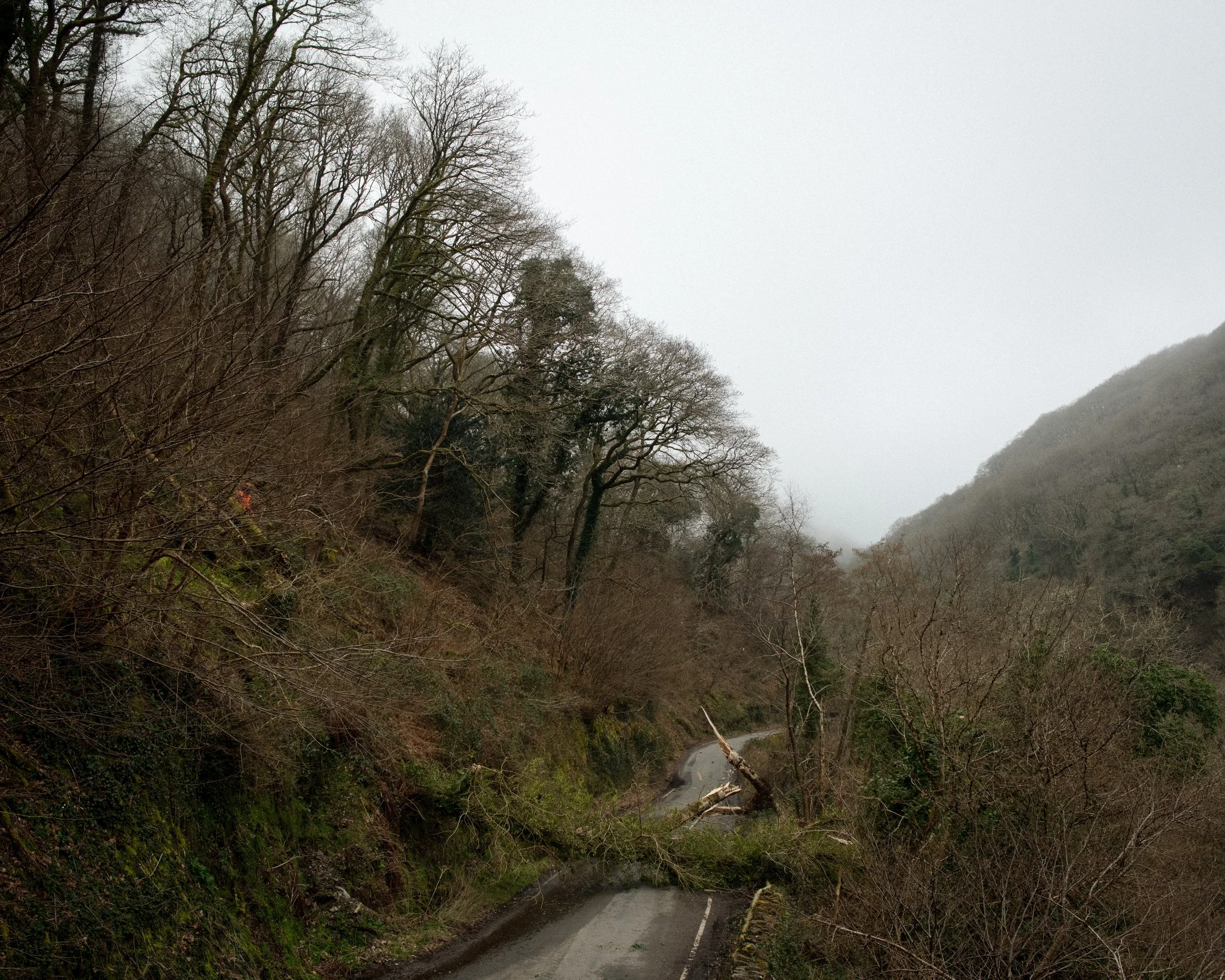 Watersmeet_34.jpg
