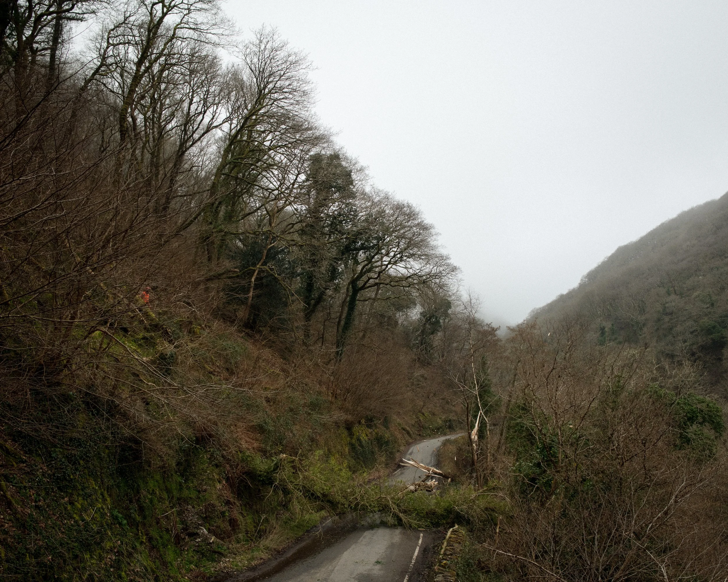 Watersmeet_35.jpg