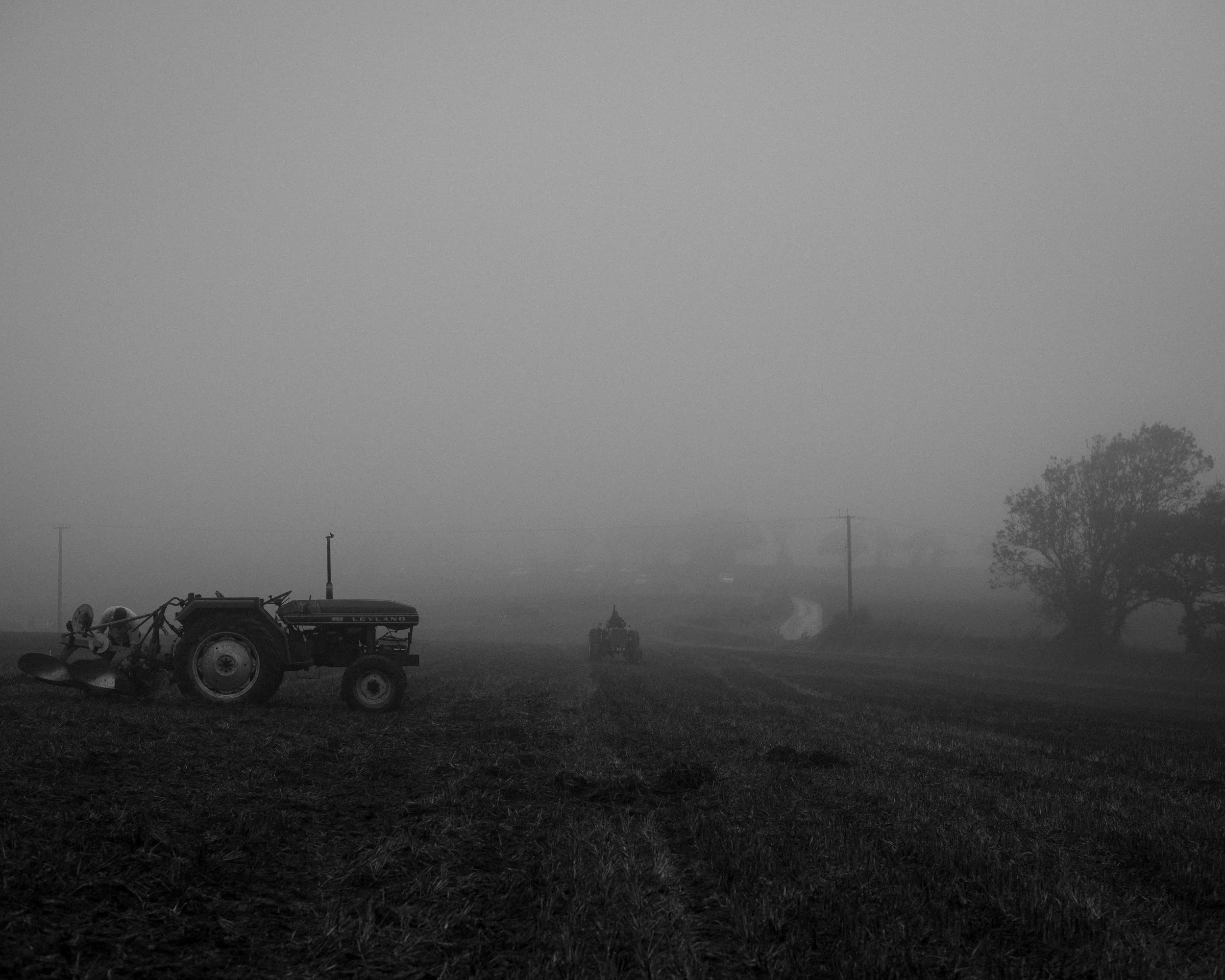 _0014.jpg