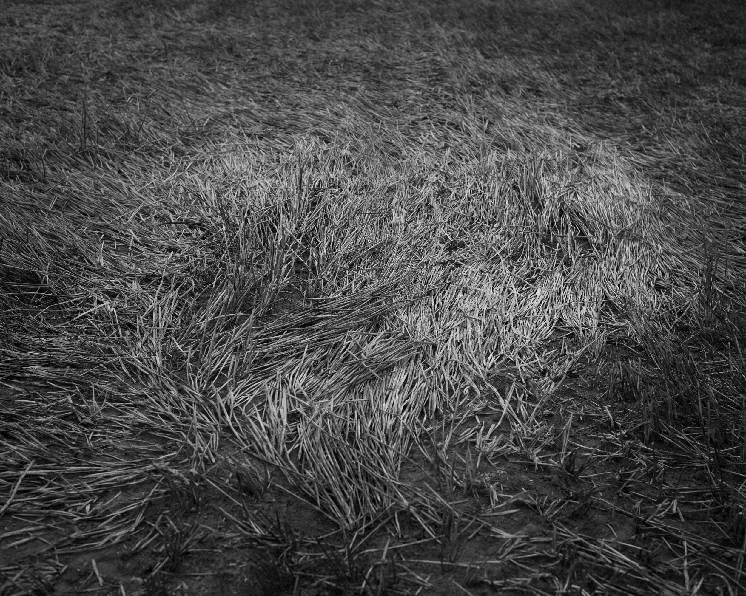 _0031.jpg