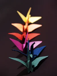 Source: 1000cranes.com