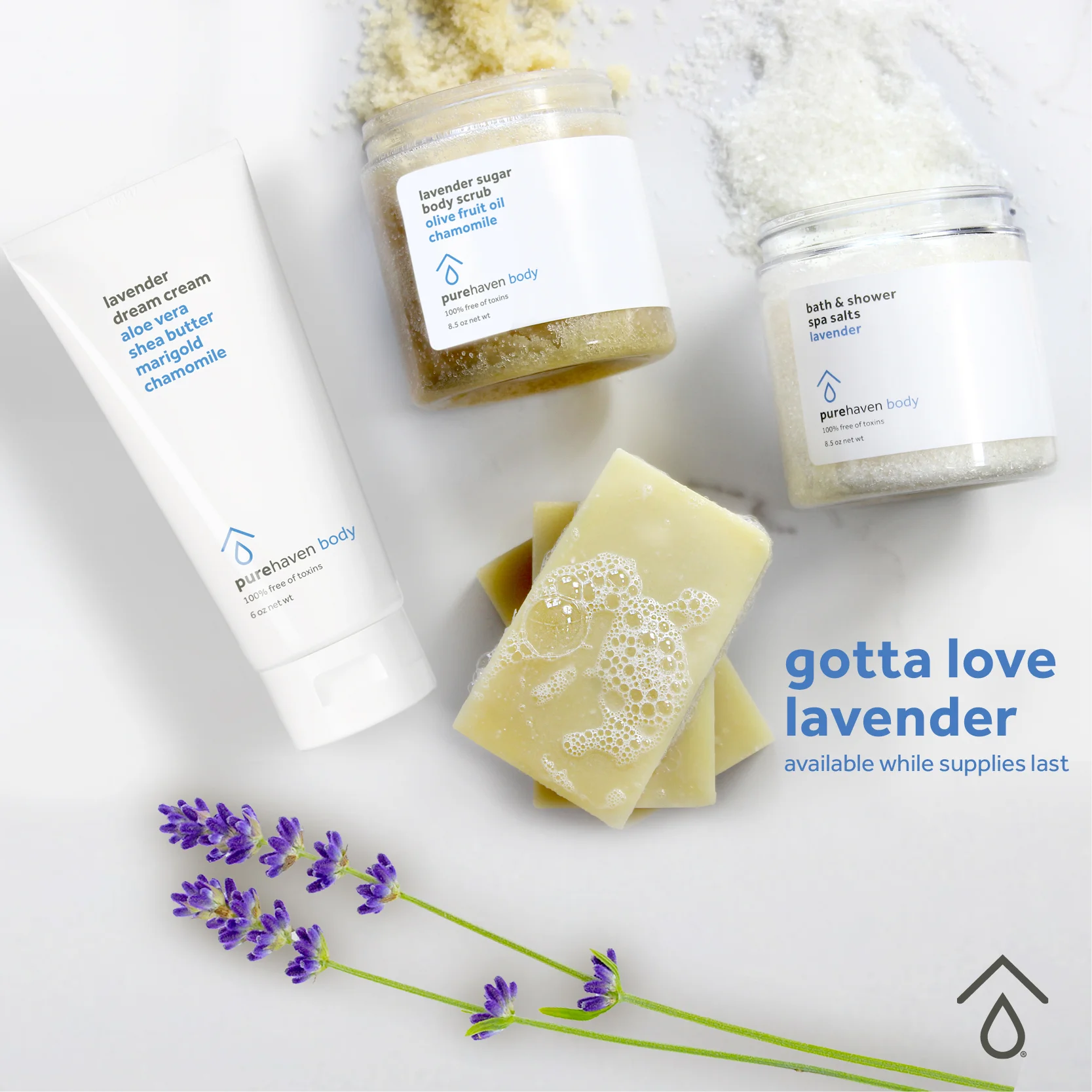 Lavender Launch