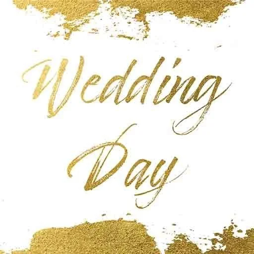 Chris and Ashley's Weddng