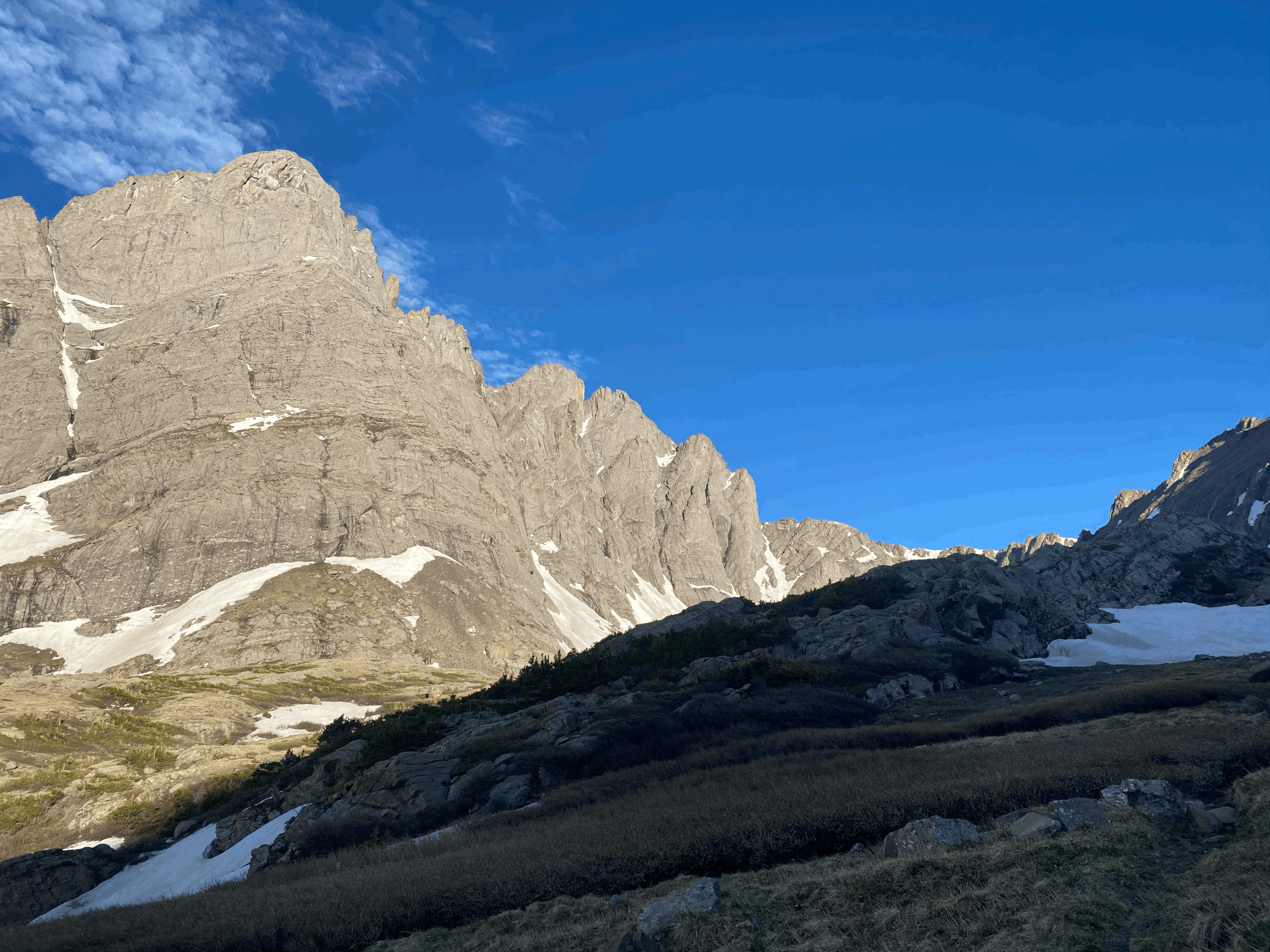 ridgeland therapist trauma.gif