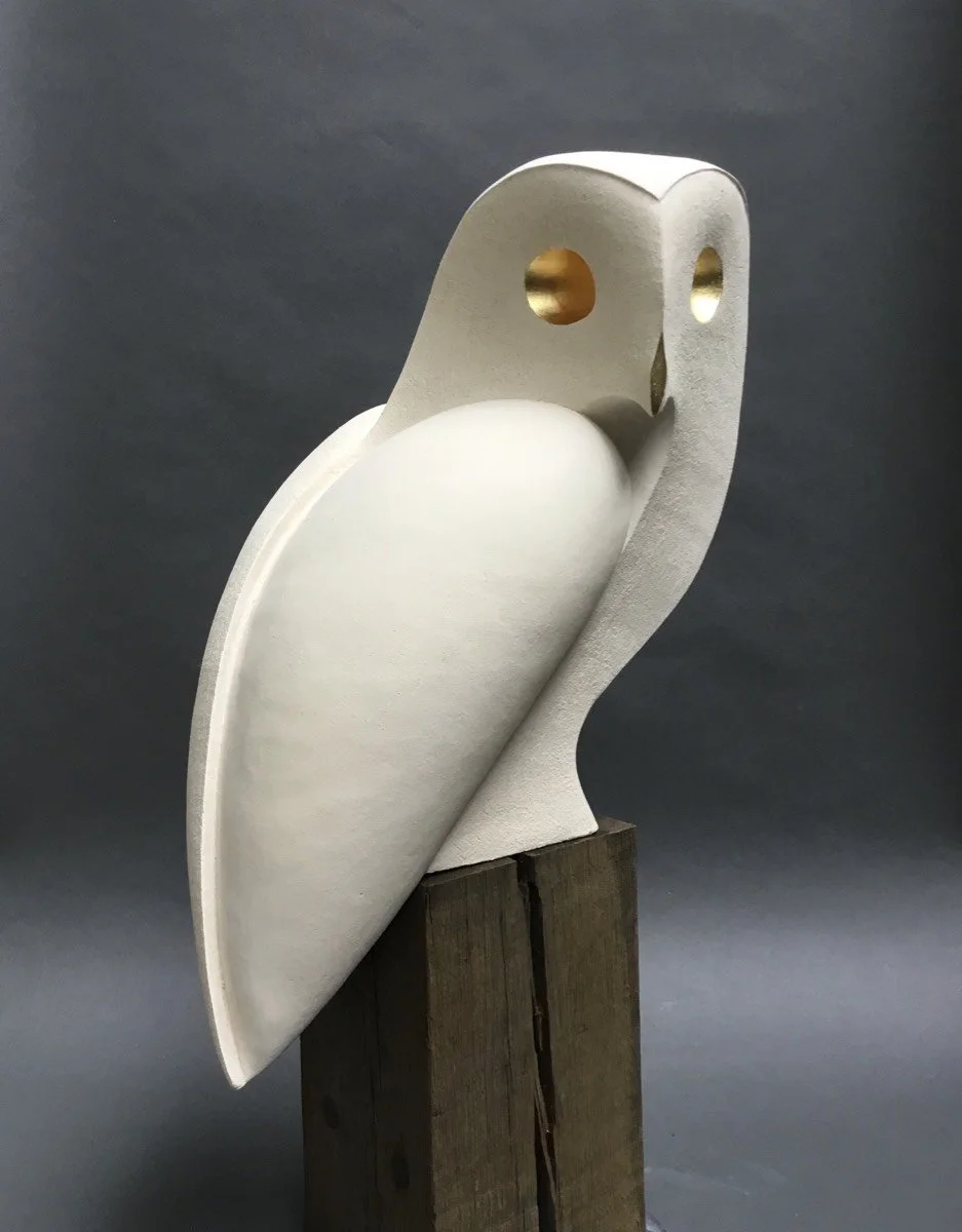 Barn owl front-Gail Dooley.jpg