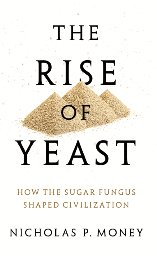 The Rise of Yeast: How the Sugar Fungus Shaped Civilization