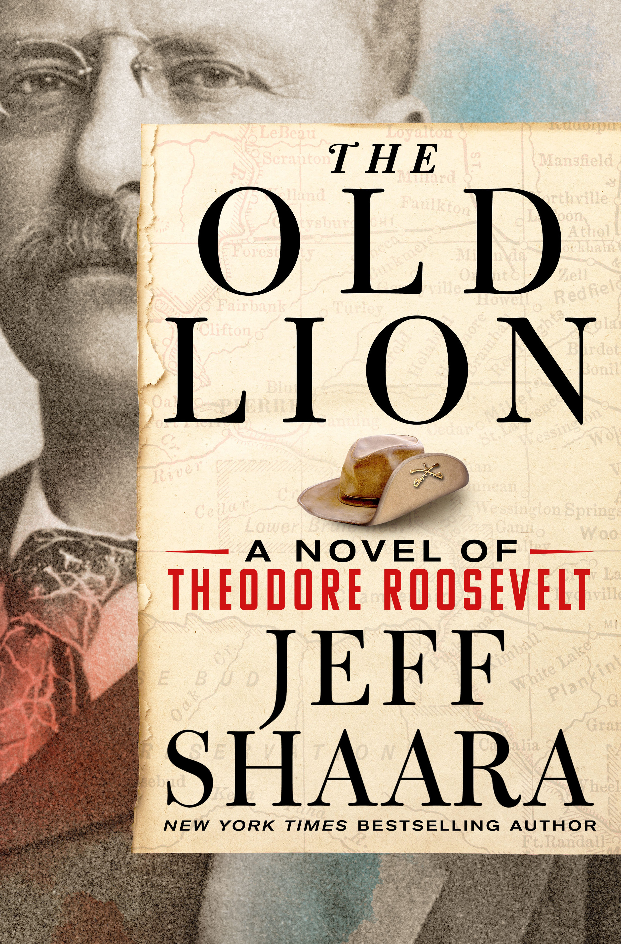 The Old Lion | Jeff Shaara