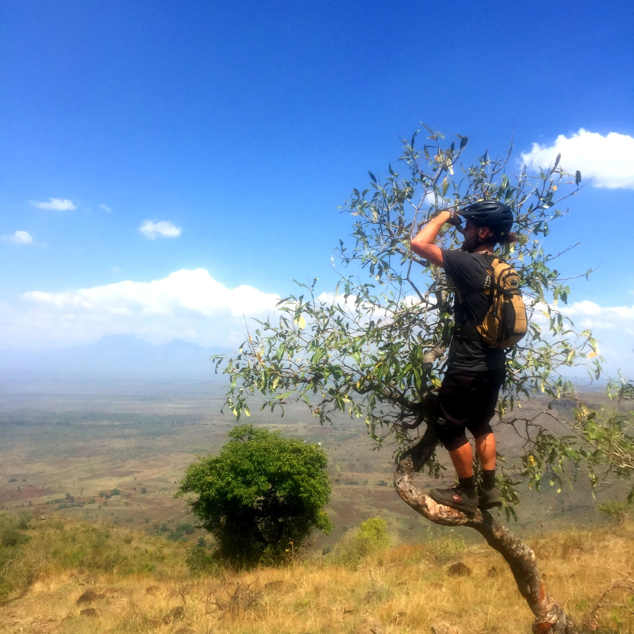 Adi looking for trails…