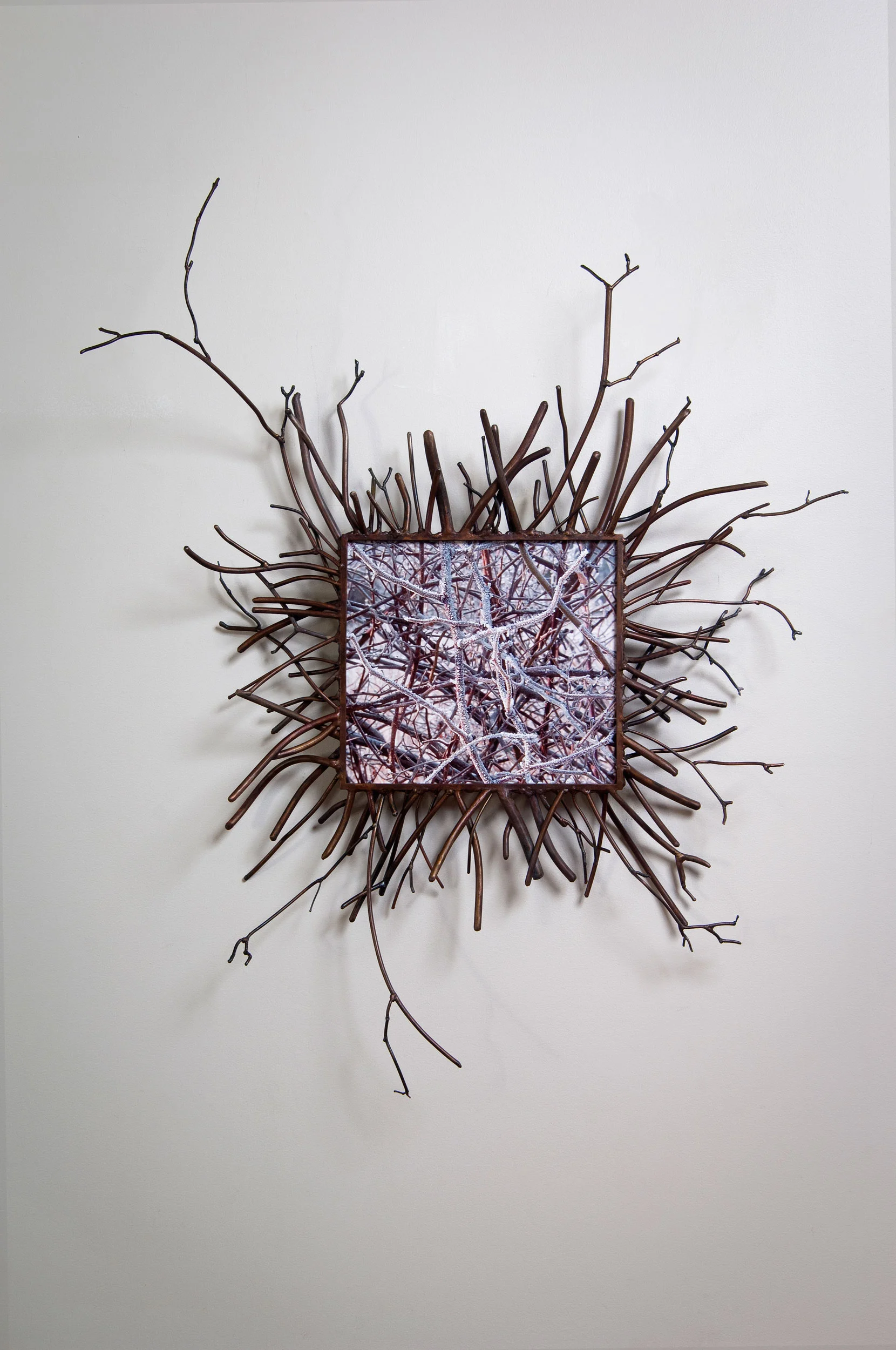 Thicket