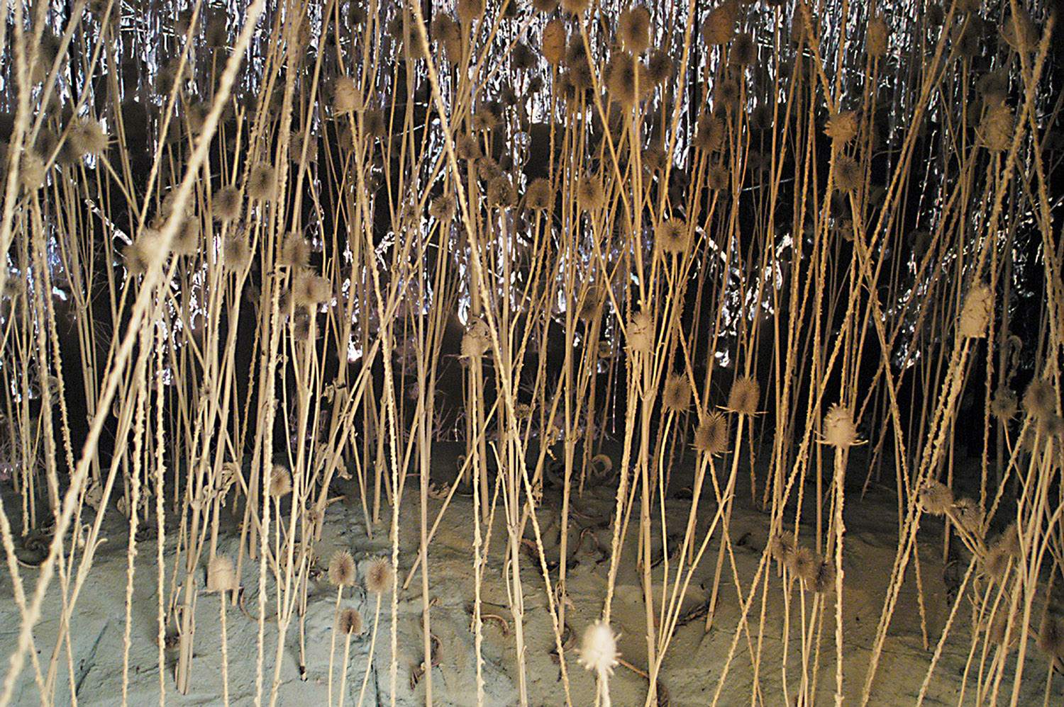Aggregate IV, view 4