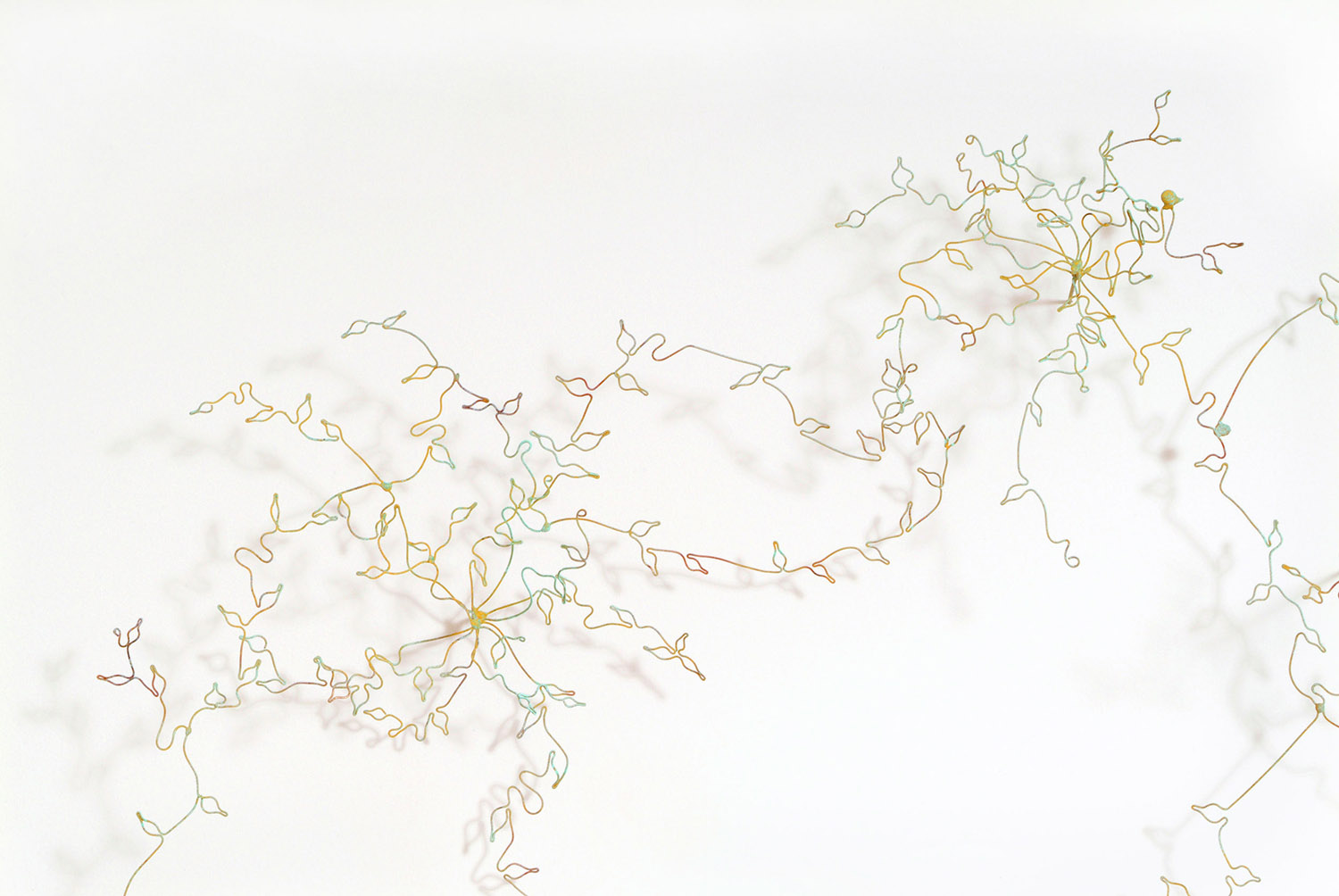 Weed II, detail 2
