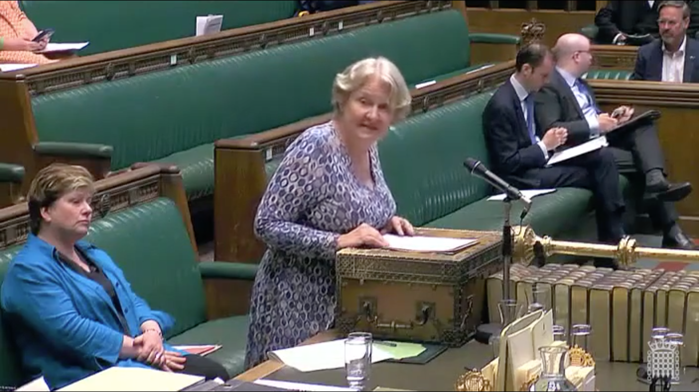 The Shadow Asia Minister, Helen Goodman MP