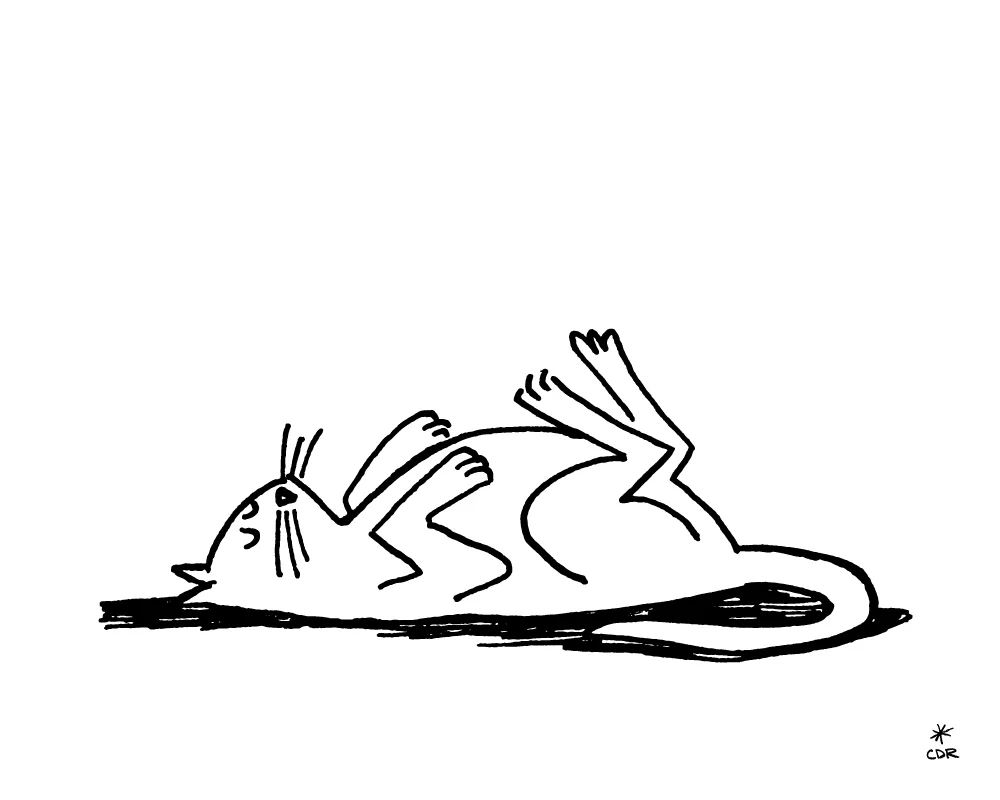 Catnapper-CDR.jpg