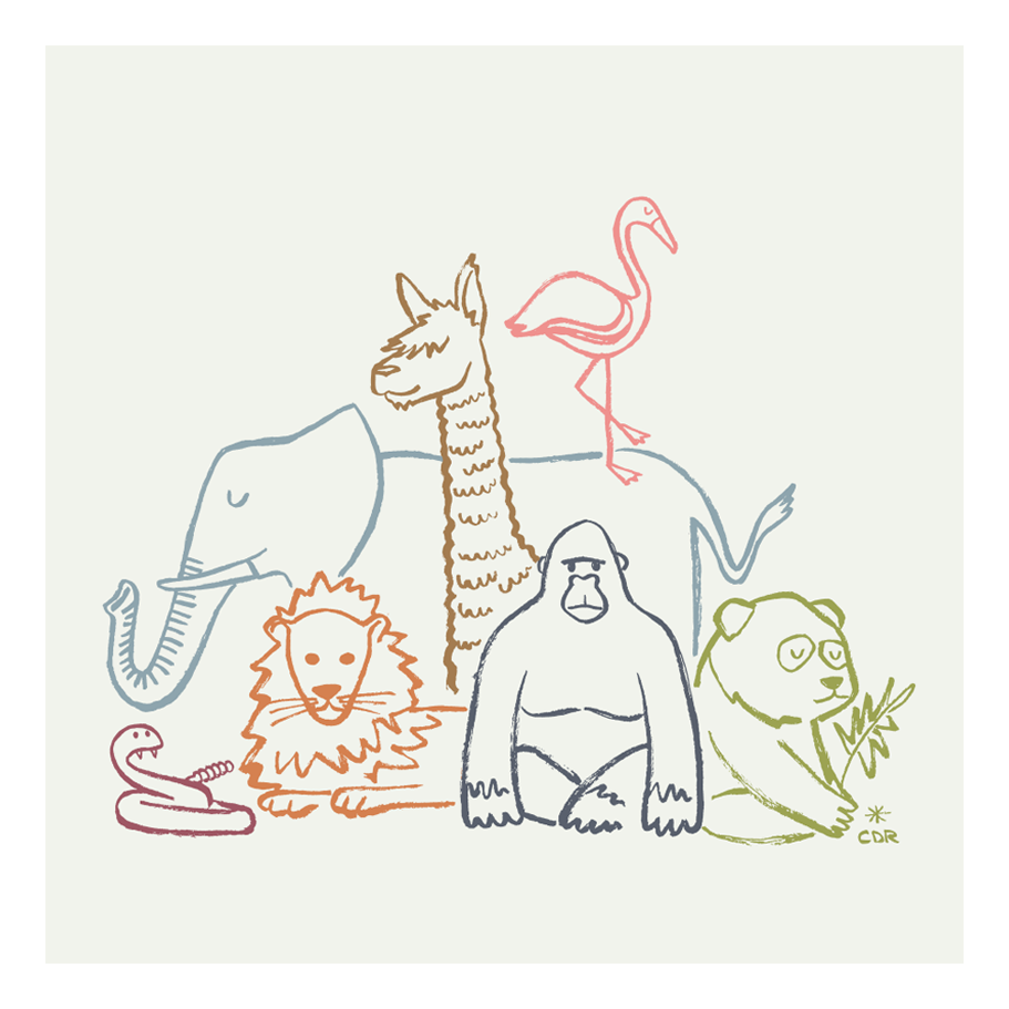 Friends Of The National Zoo