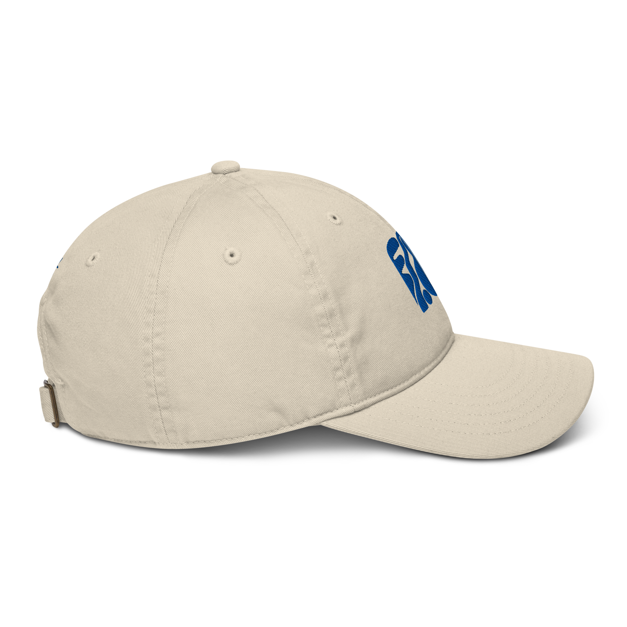 Blue_Garden_Hat-CDR-05.png