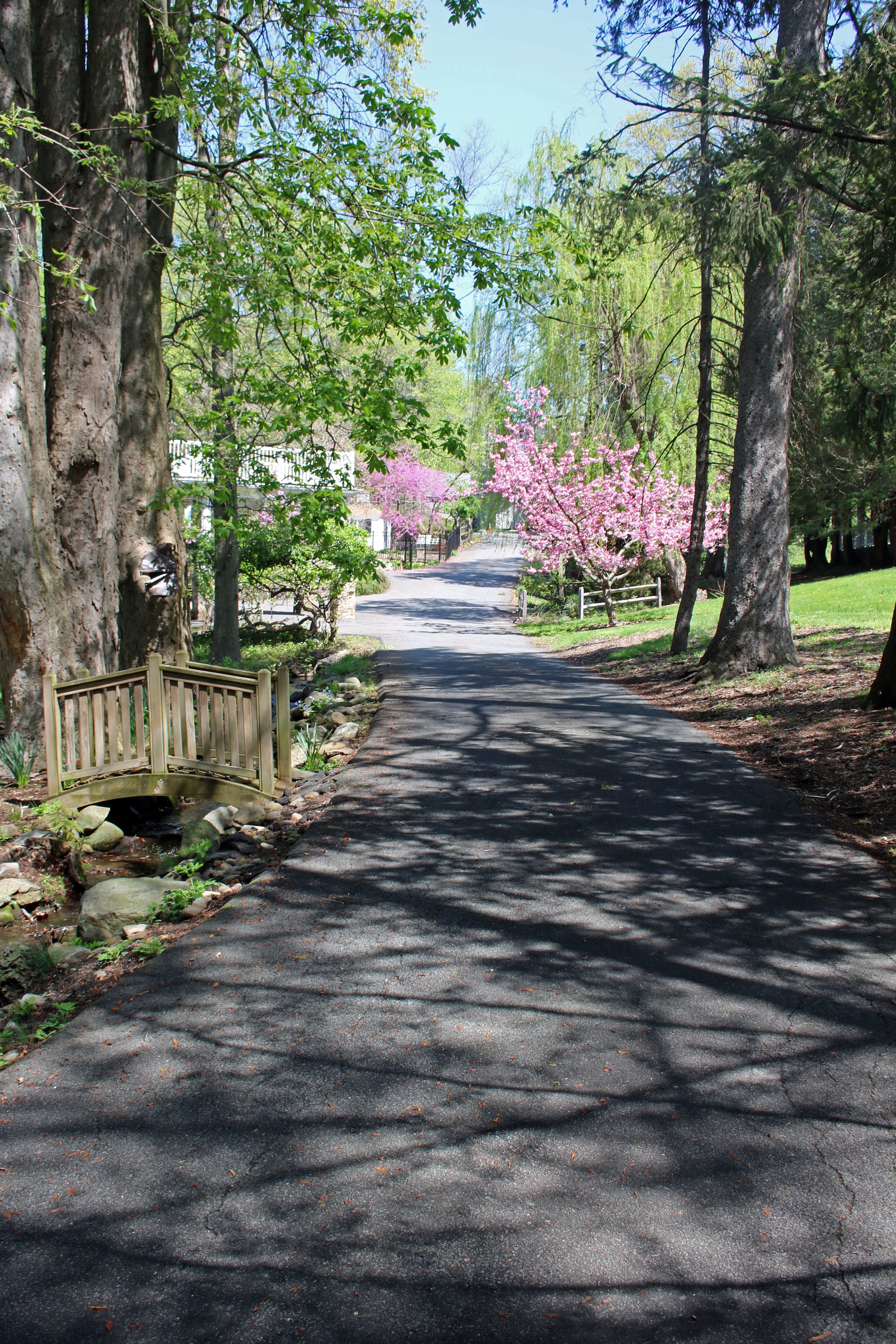 Driveway-4:2017_1552.jpg