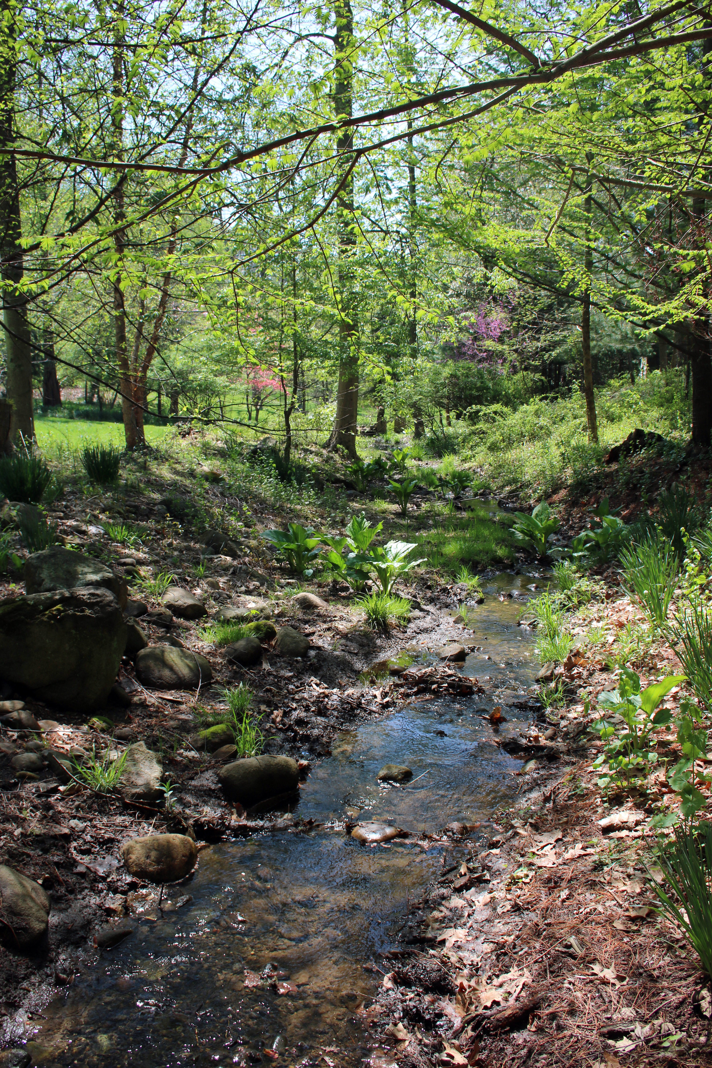 Stream-4:2017_1568.jpg