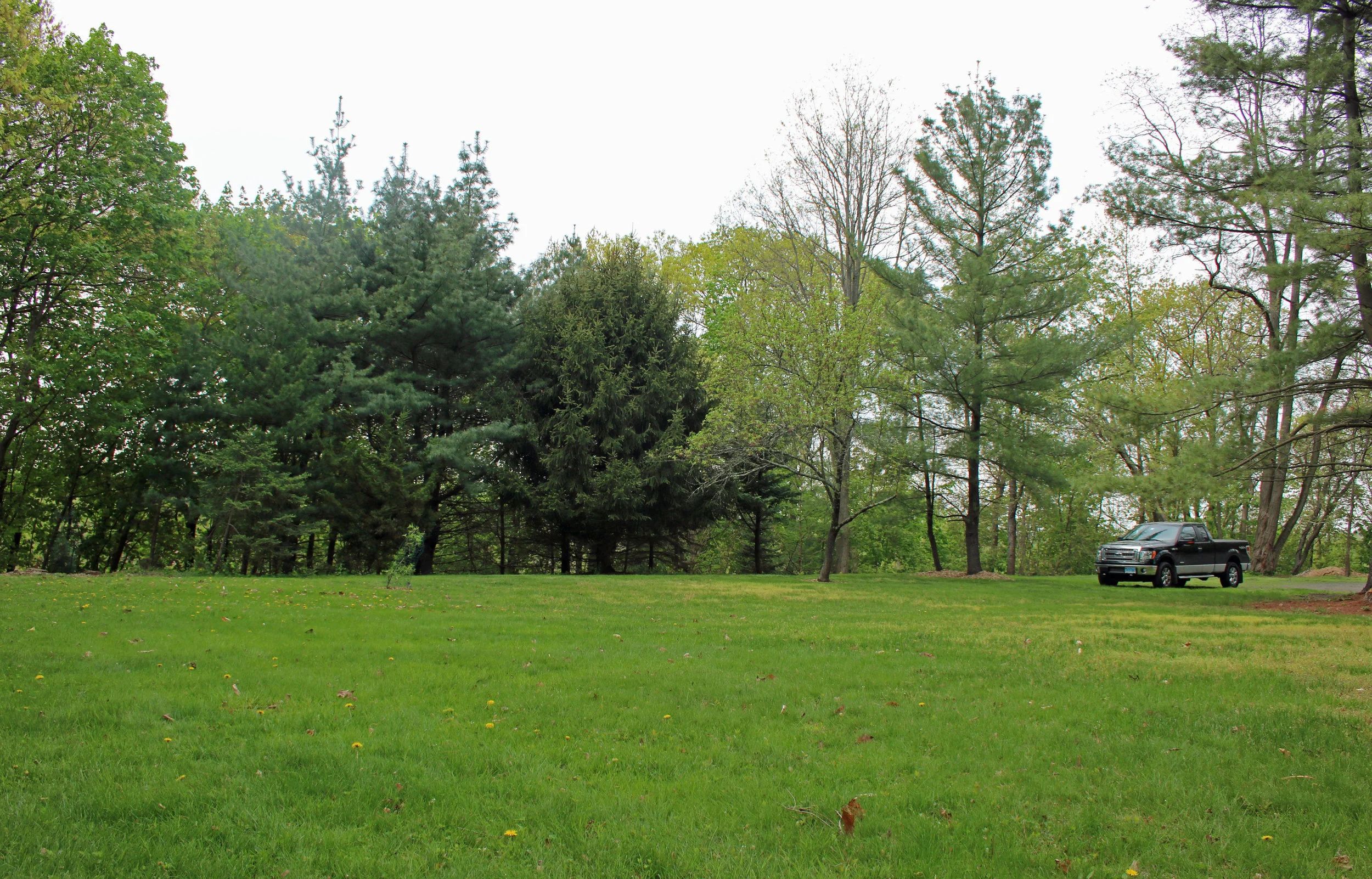 SoccerField_1619.jpg