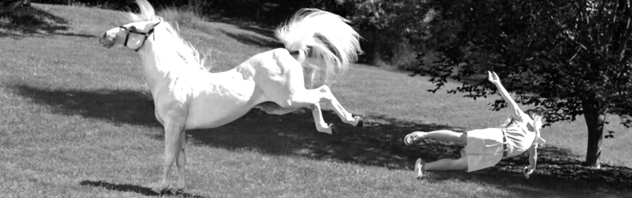 BannerBW_8961.jpg